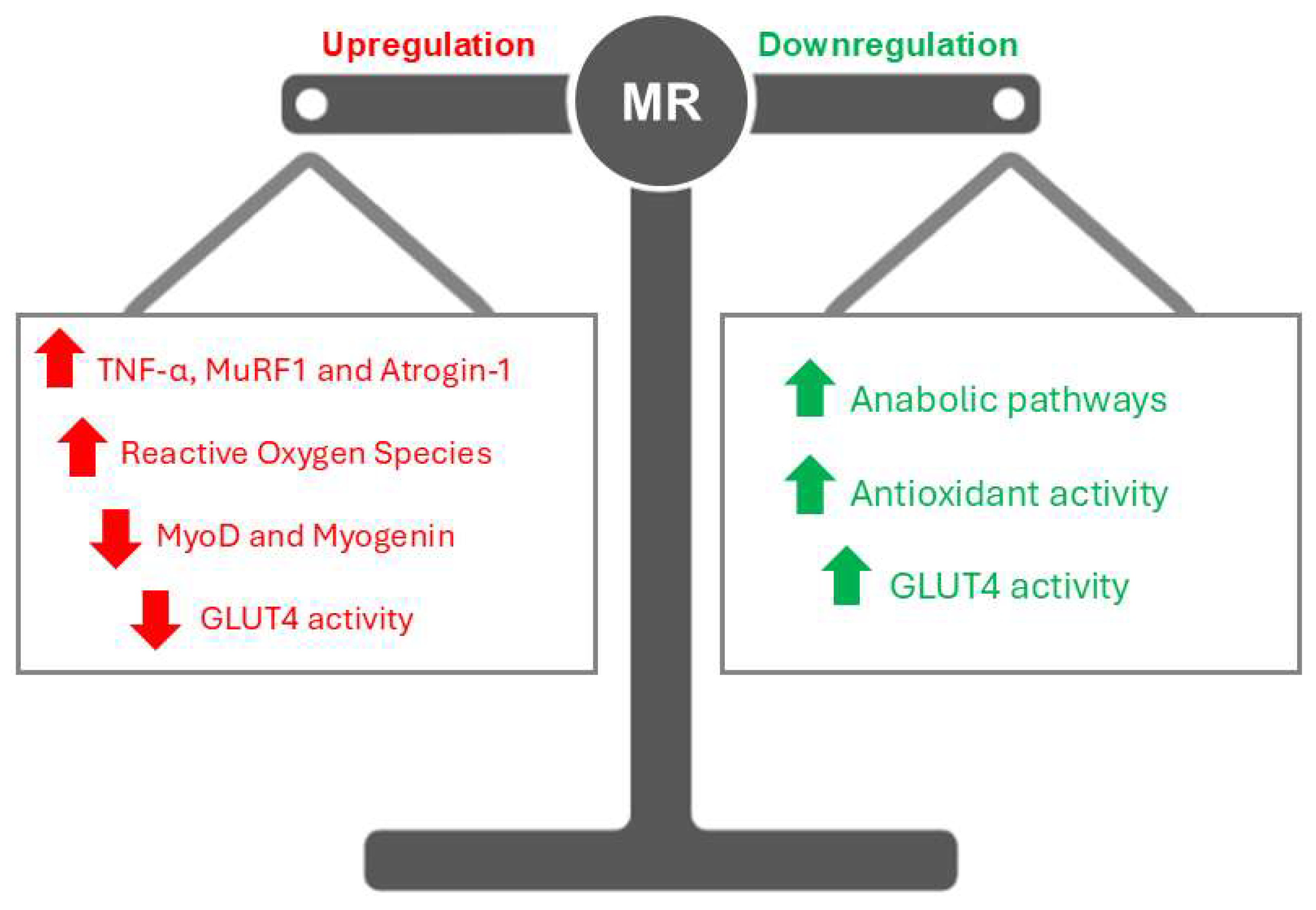 Preprints 145295 g001