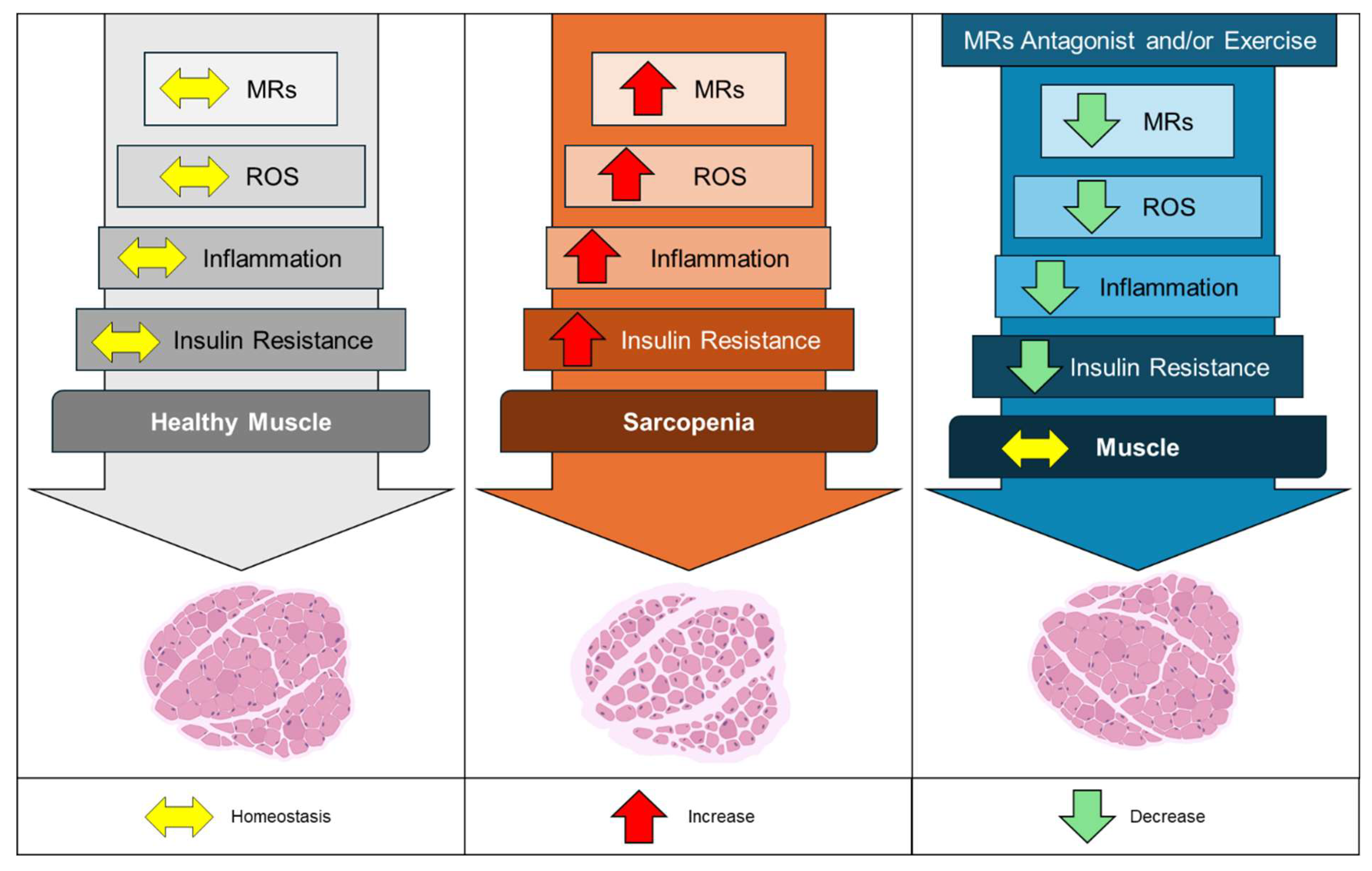 Preprints 145295 g002