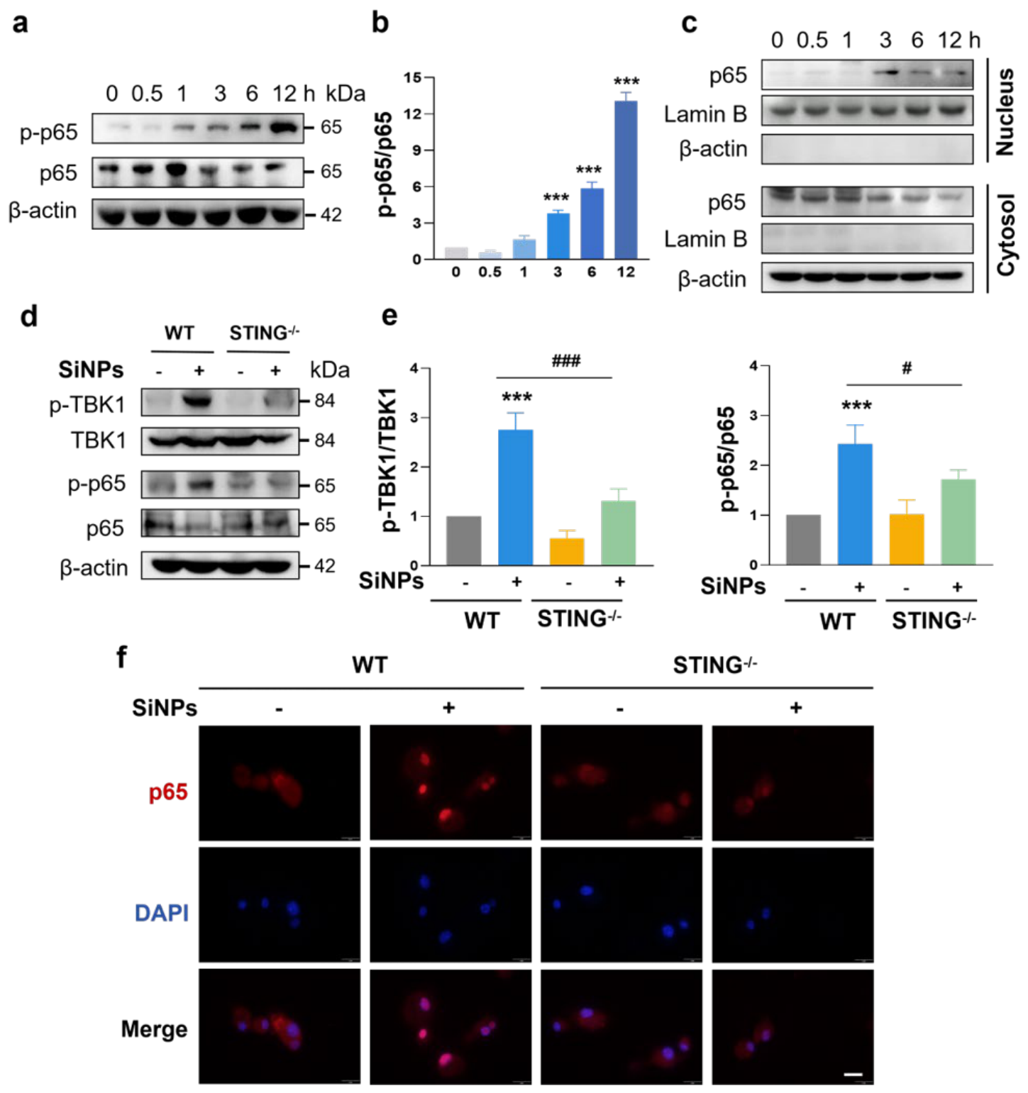 Preprints 226548 g004 Preprints 226548 g004