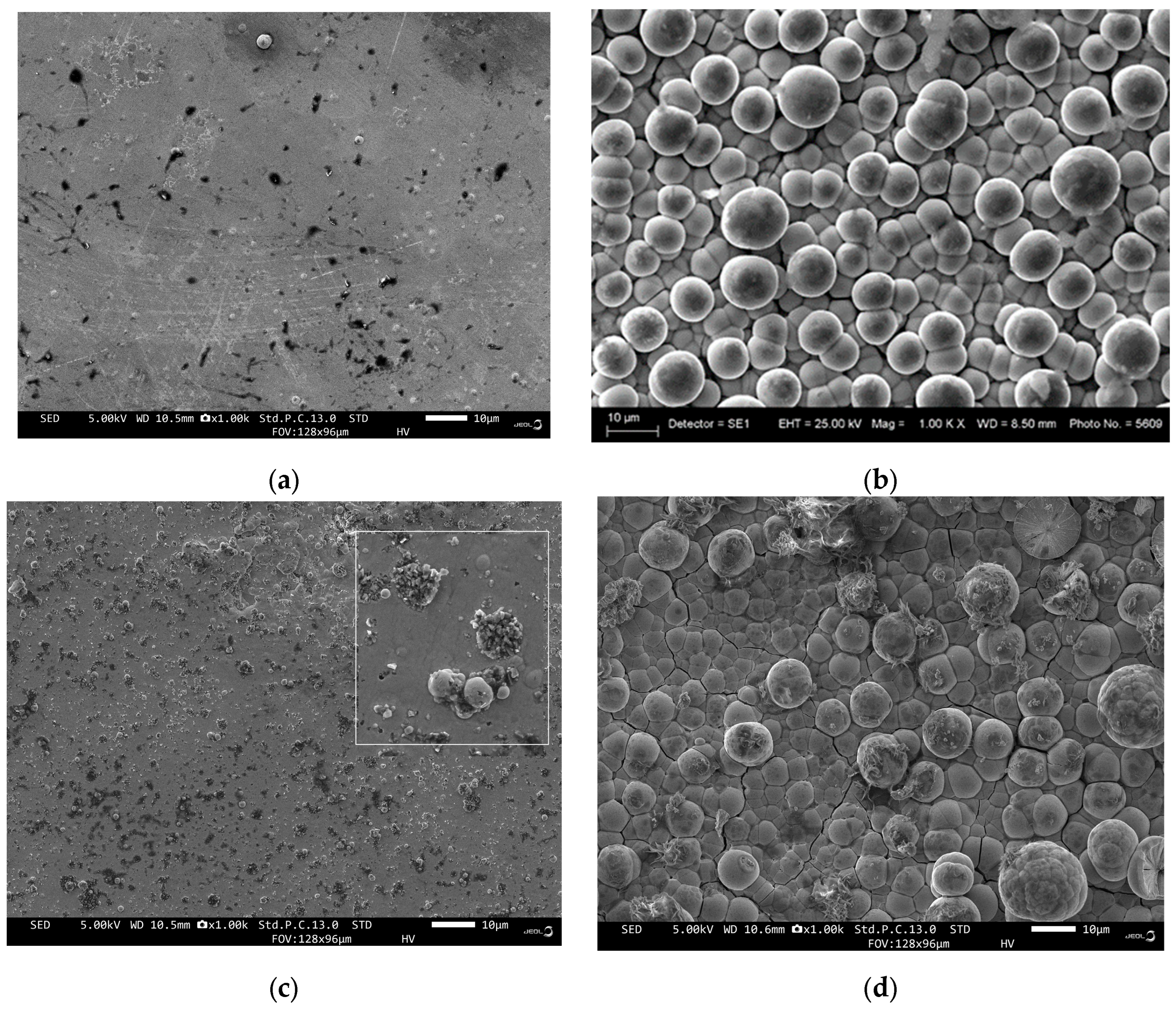 Preprints 231725 g001 Preprints 231725 g001