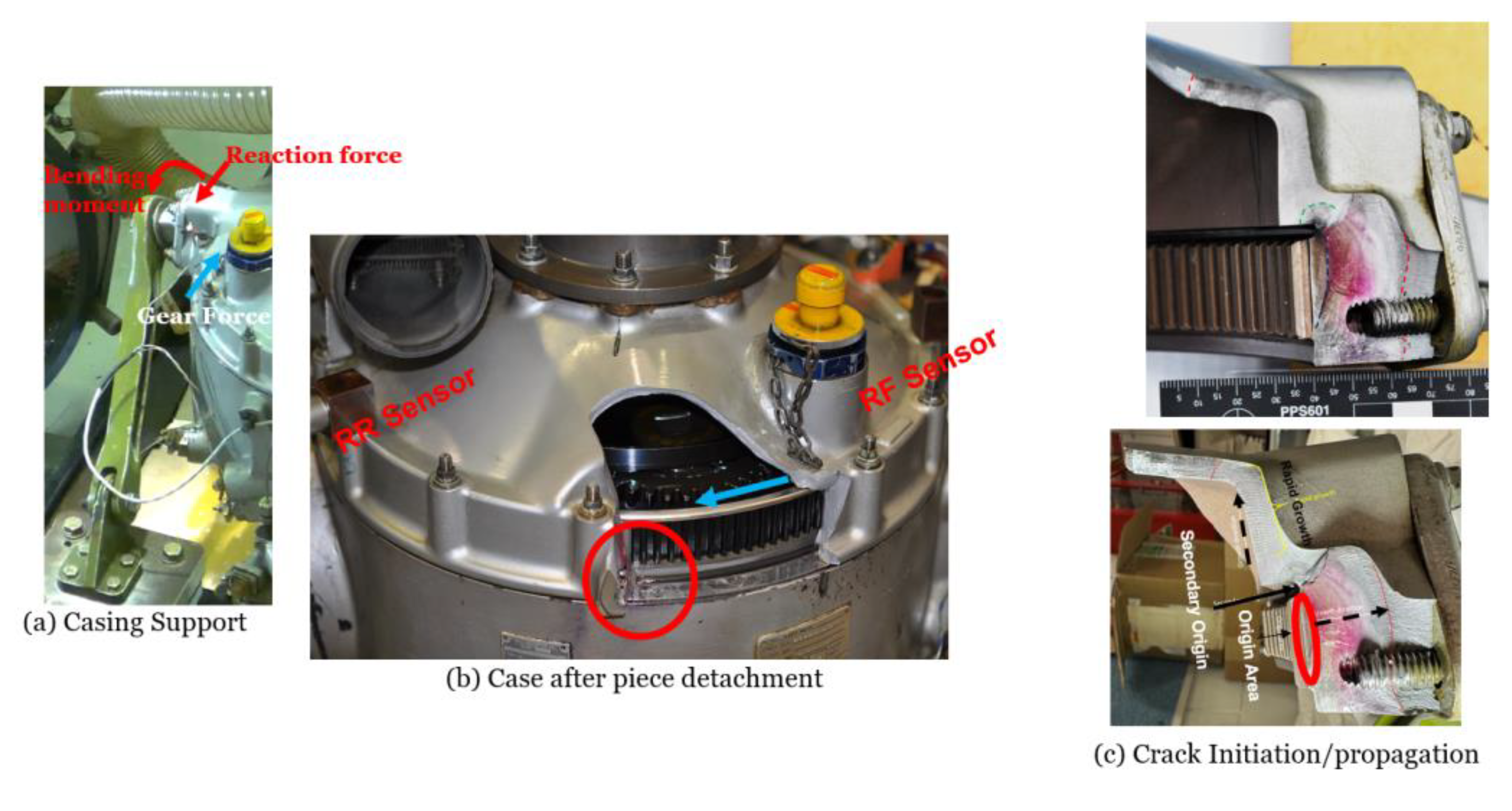 Preprints 195334 g002
