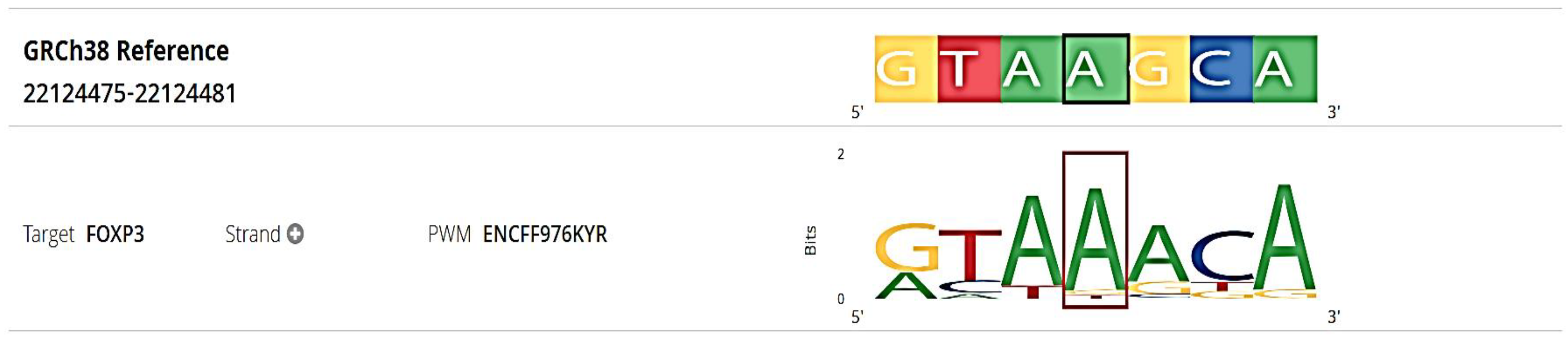 Preprints 146725 g002