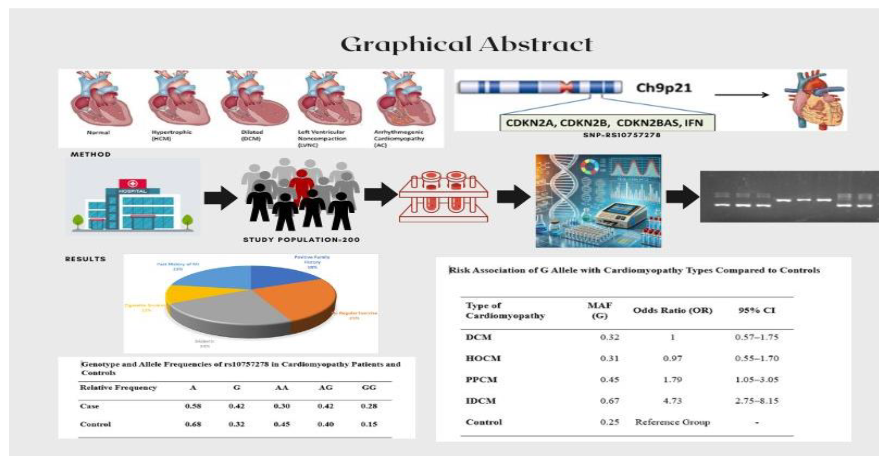 Preprints 146725 i001