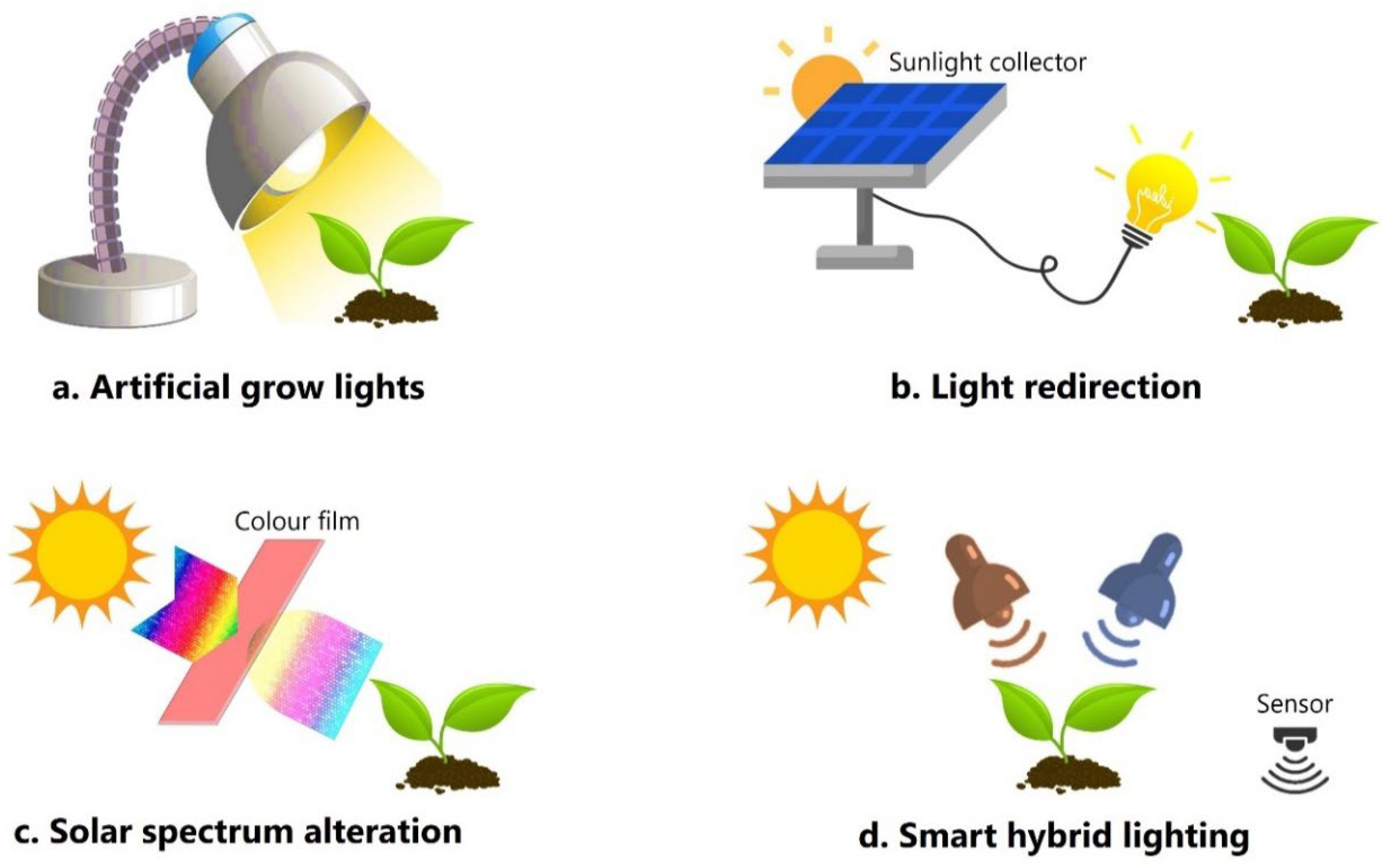Preprints 140865 g003