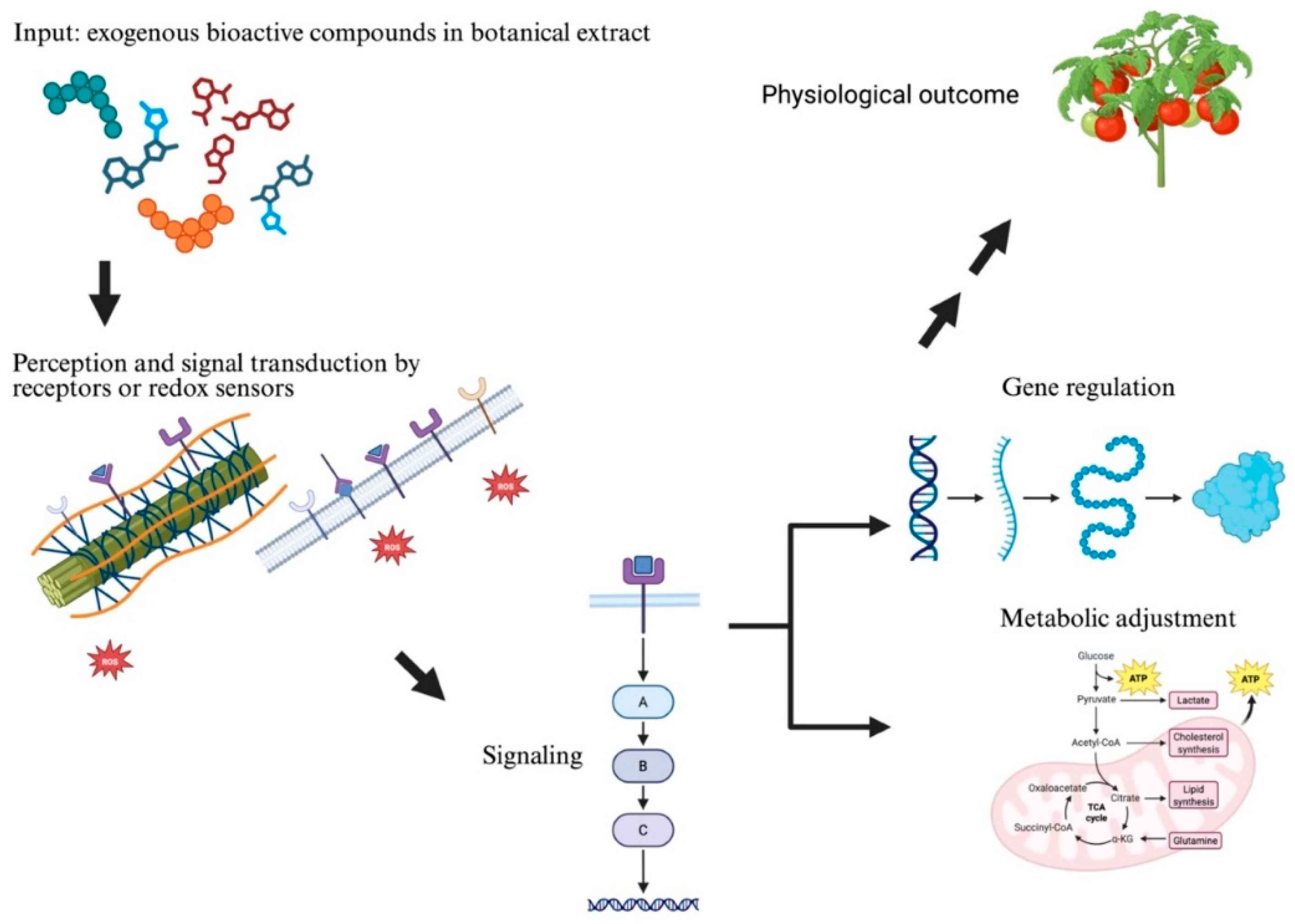 Preprints 201189 g002