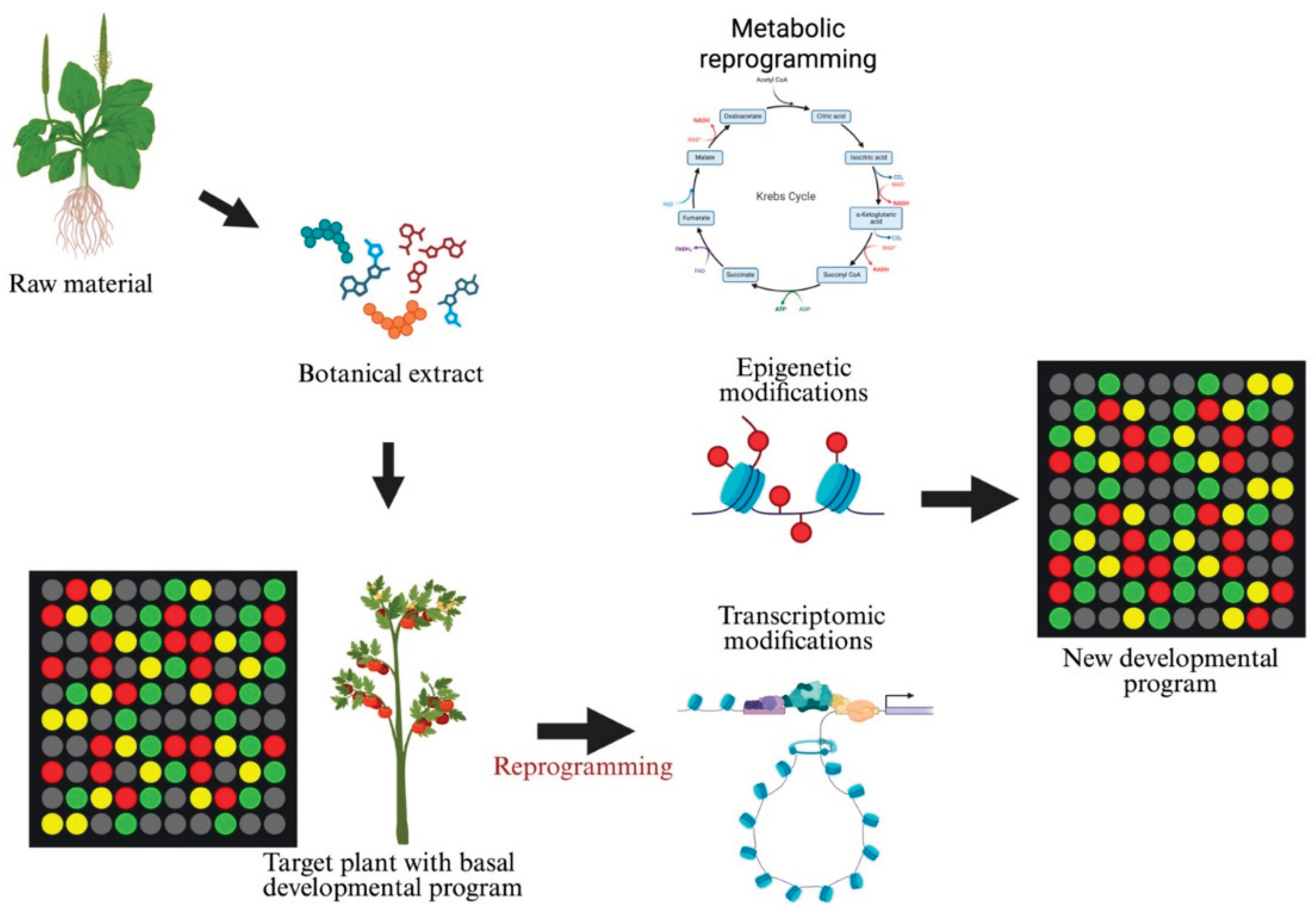 Preprints 201189 g003