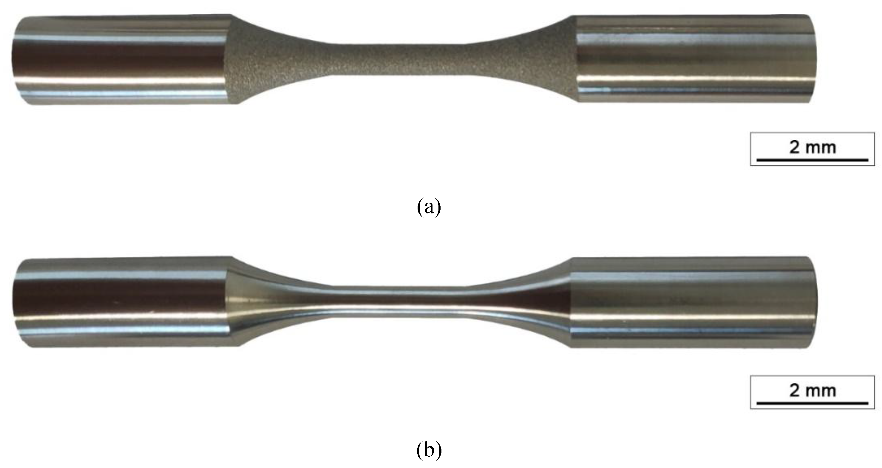 Preprints 193626 g002