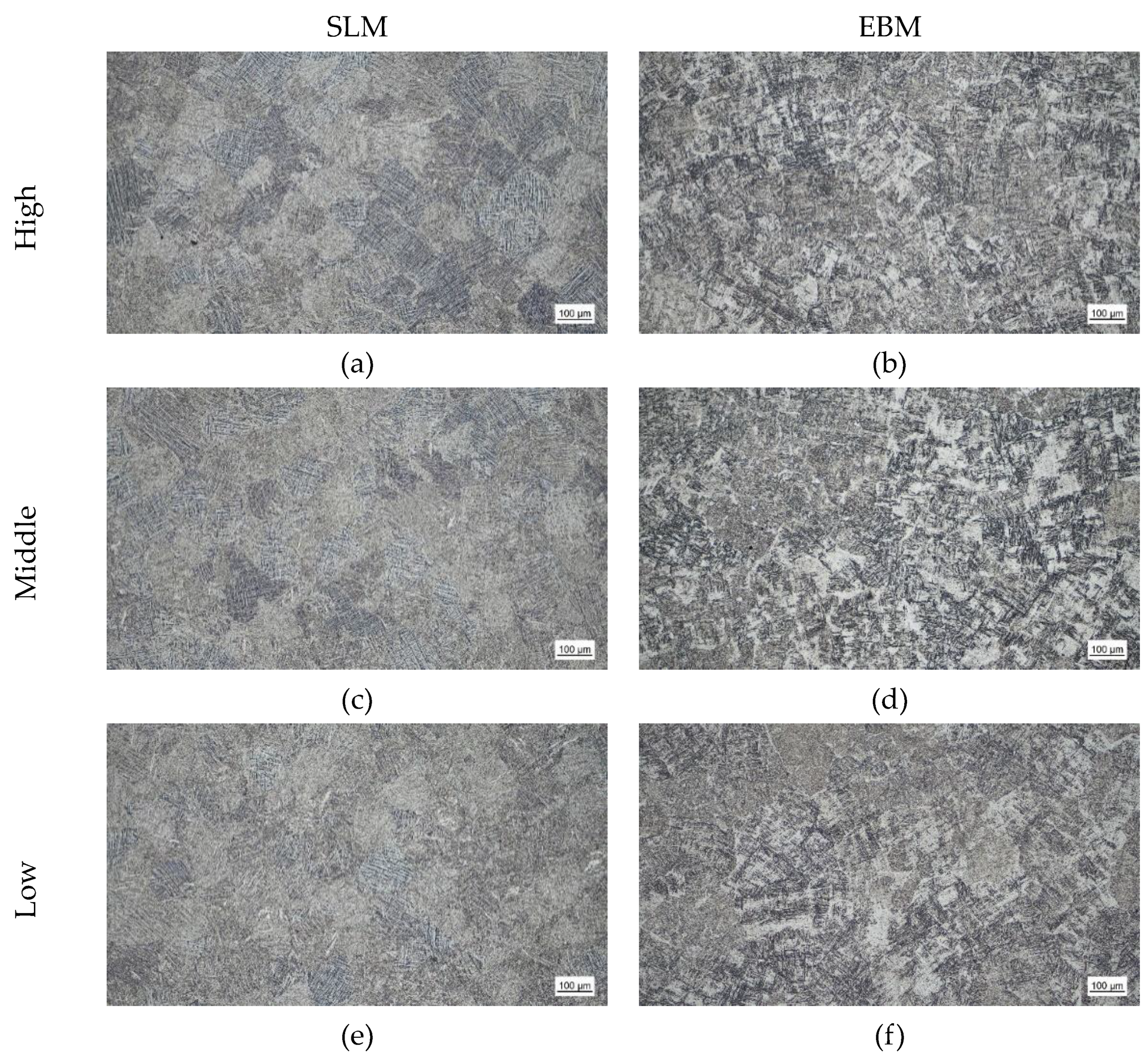 Preprints 193626 g007