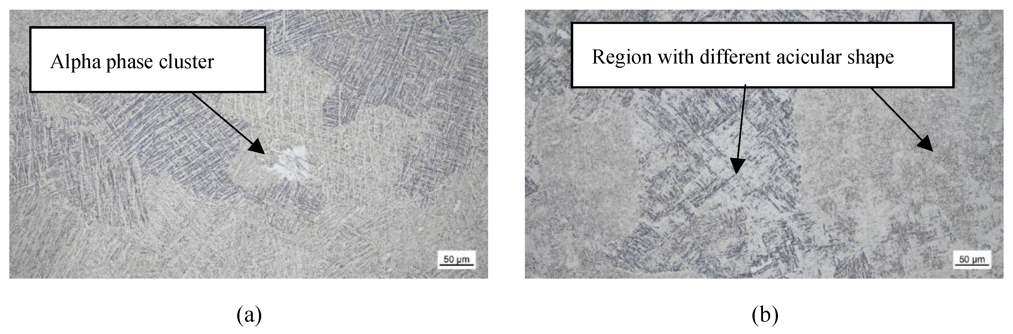 Preprints 193626 g014