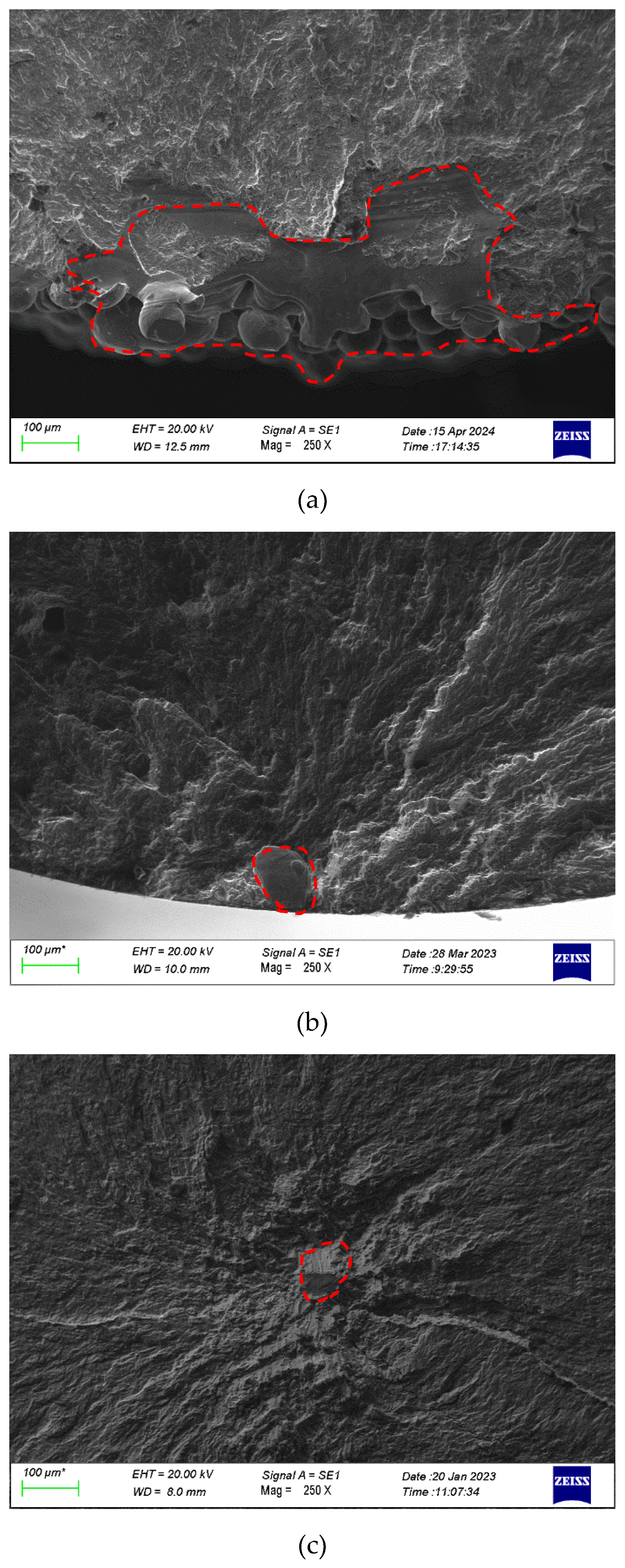 Preprints 193626 g017