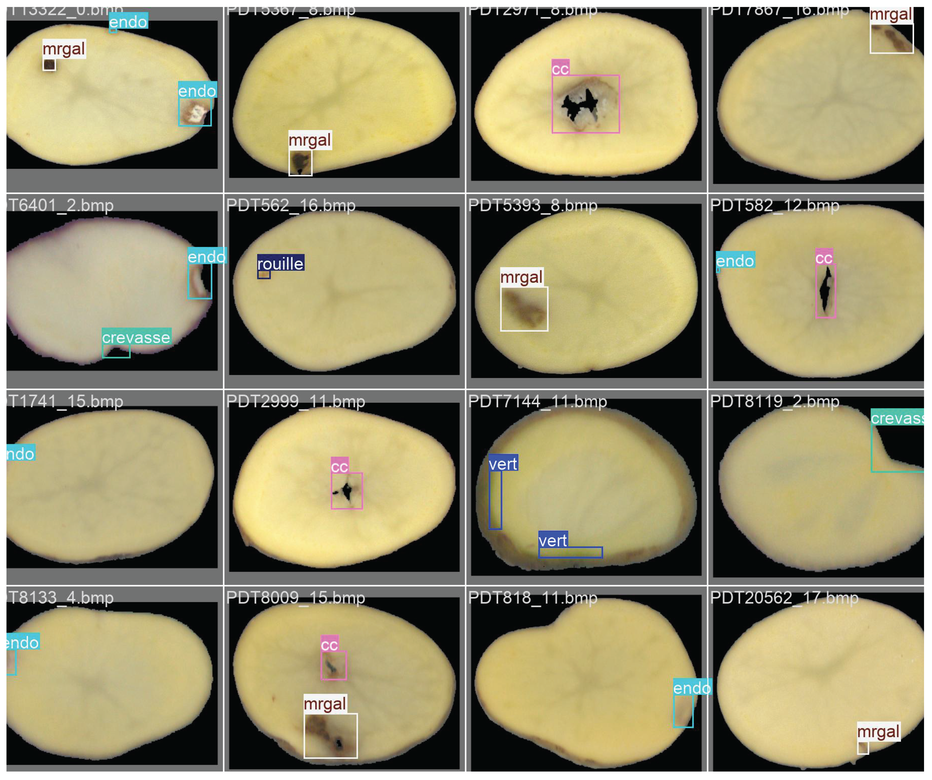 Preprints 177755 g002
