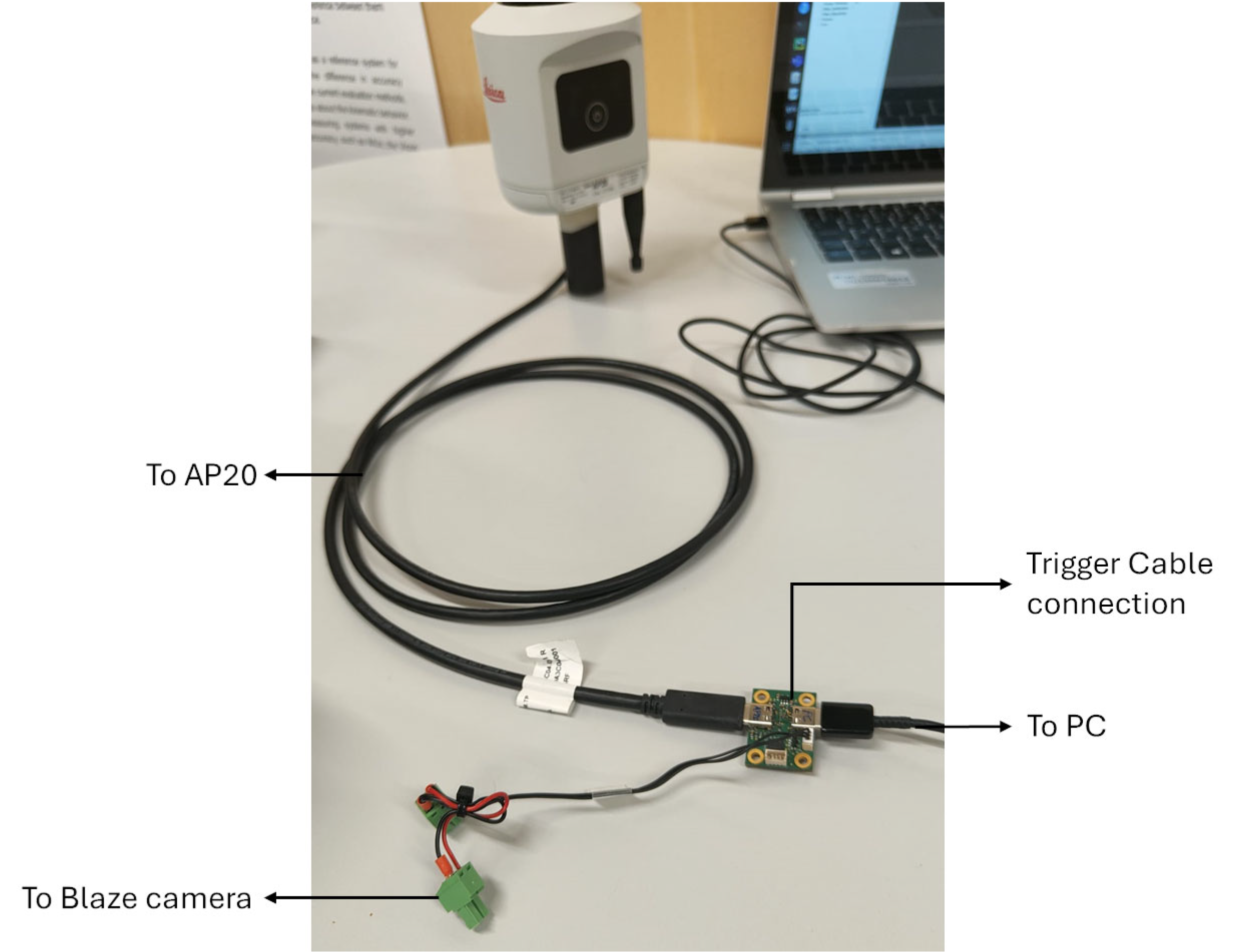 Preprints 171418 g006