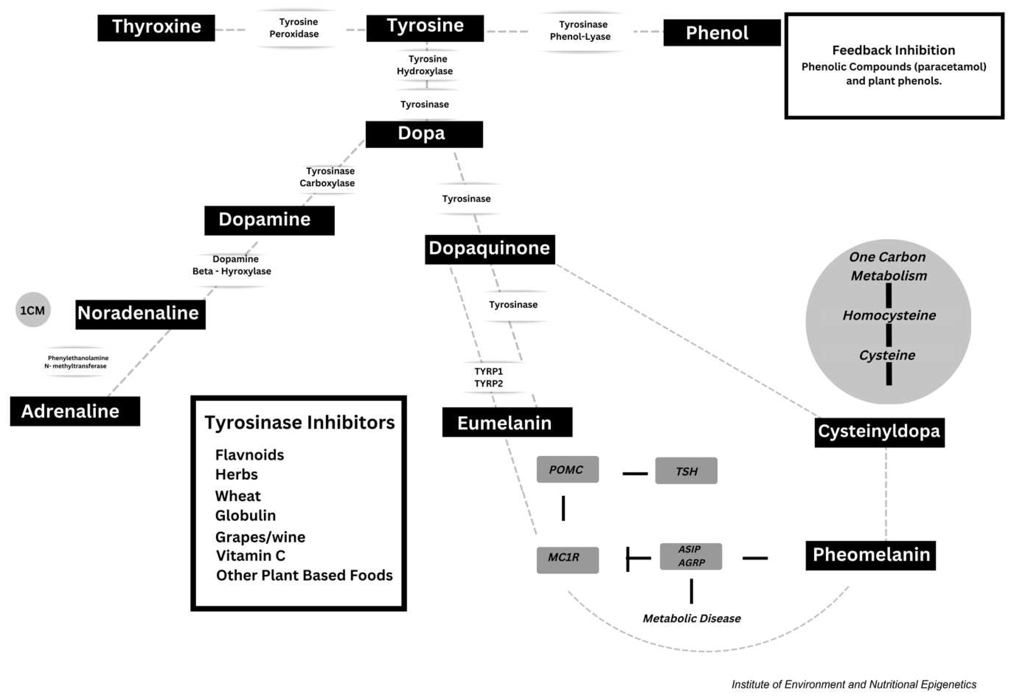 Preprints 155046 g003