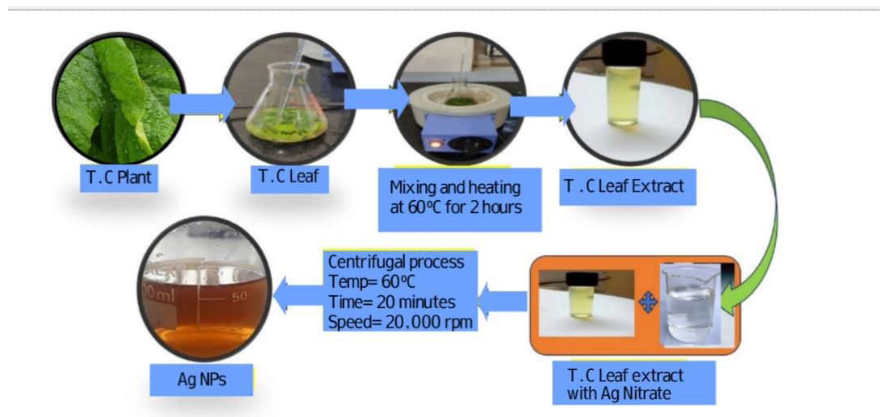 Preprints 145967 g001