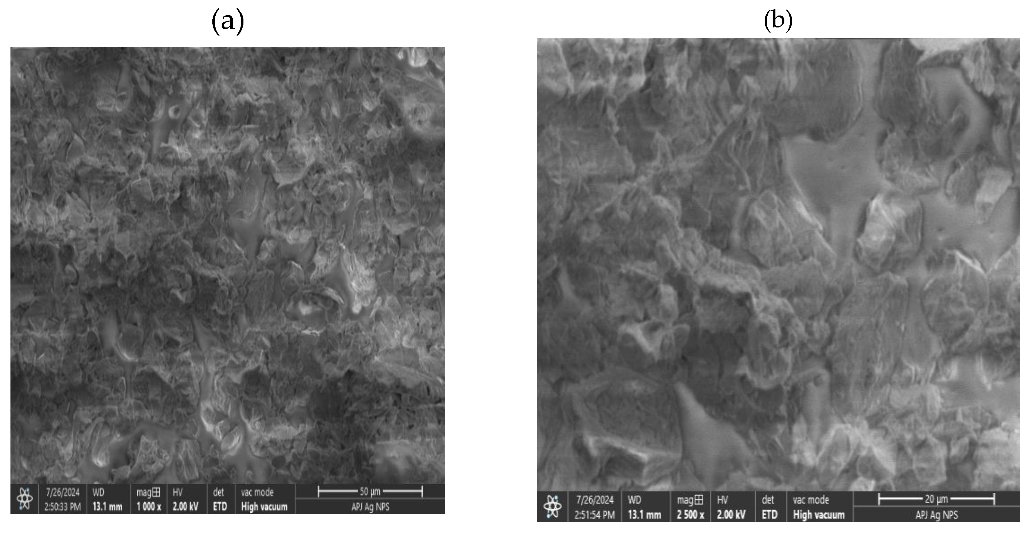 Preprints 145967 g006