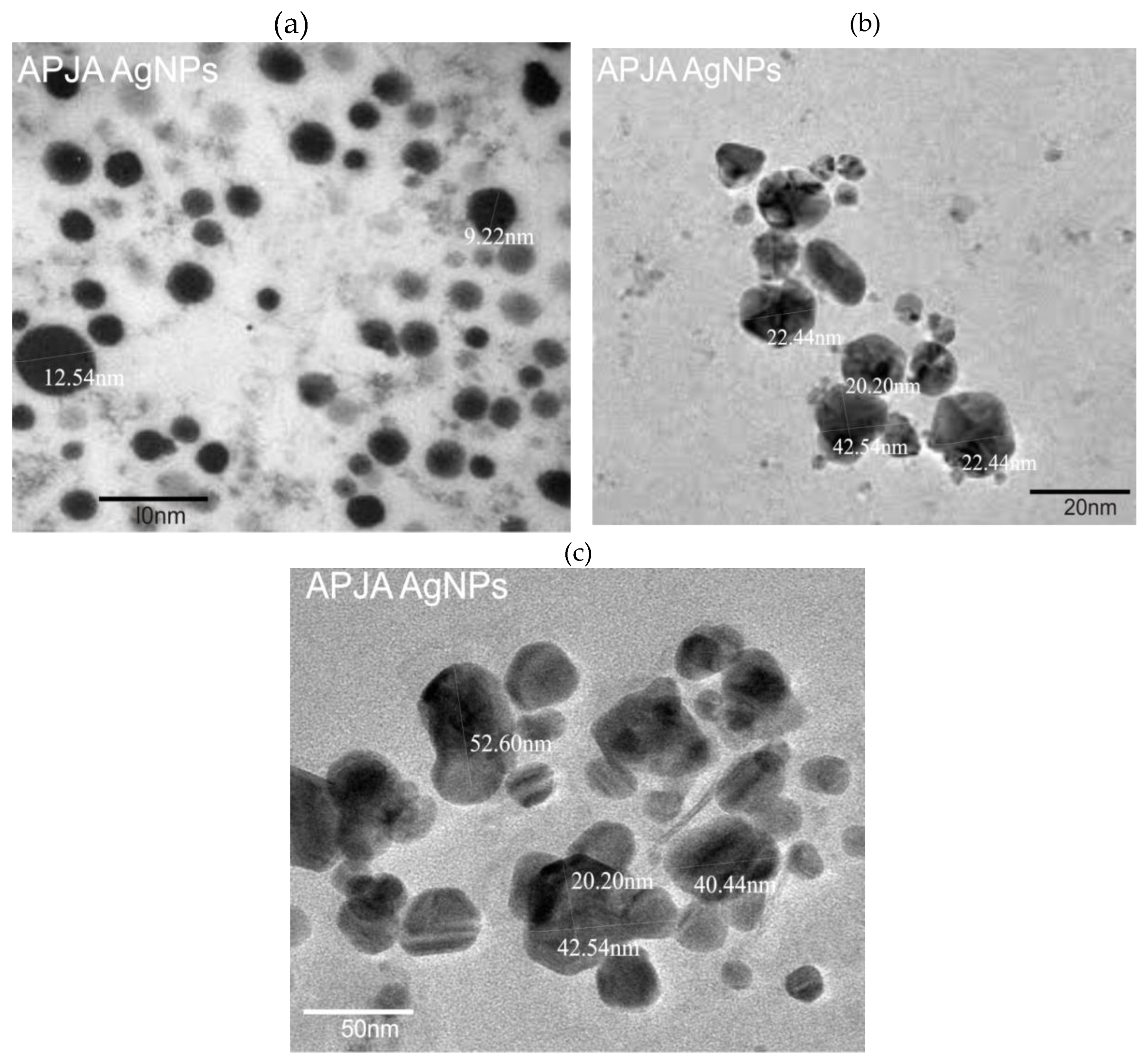 Preprints 145967 g007