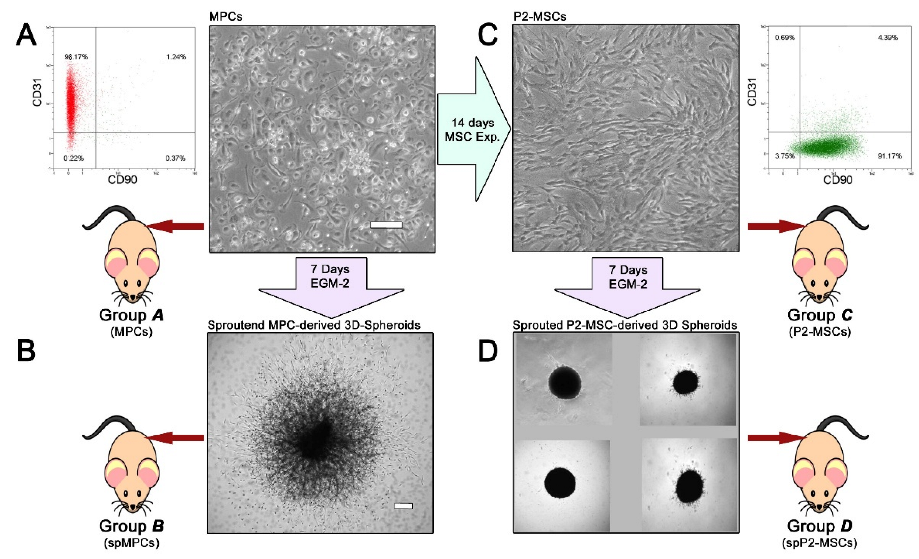 Preprints 210634 g001