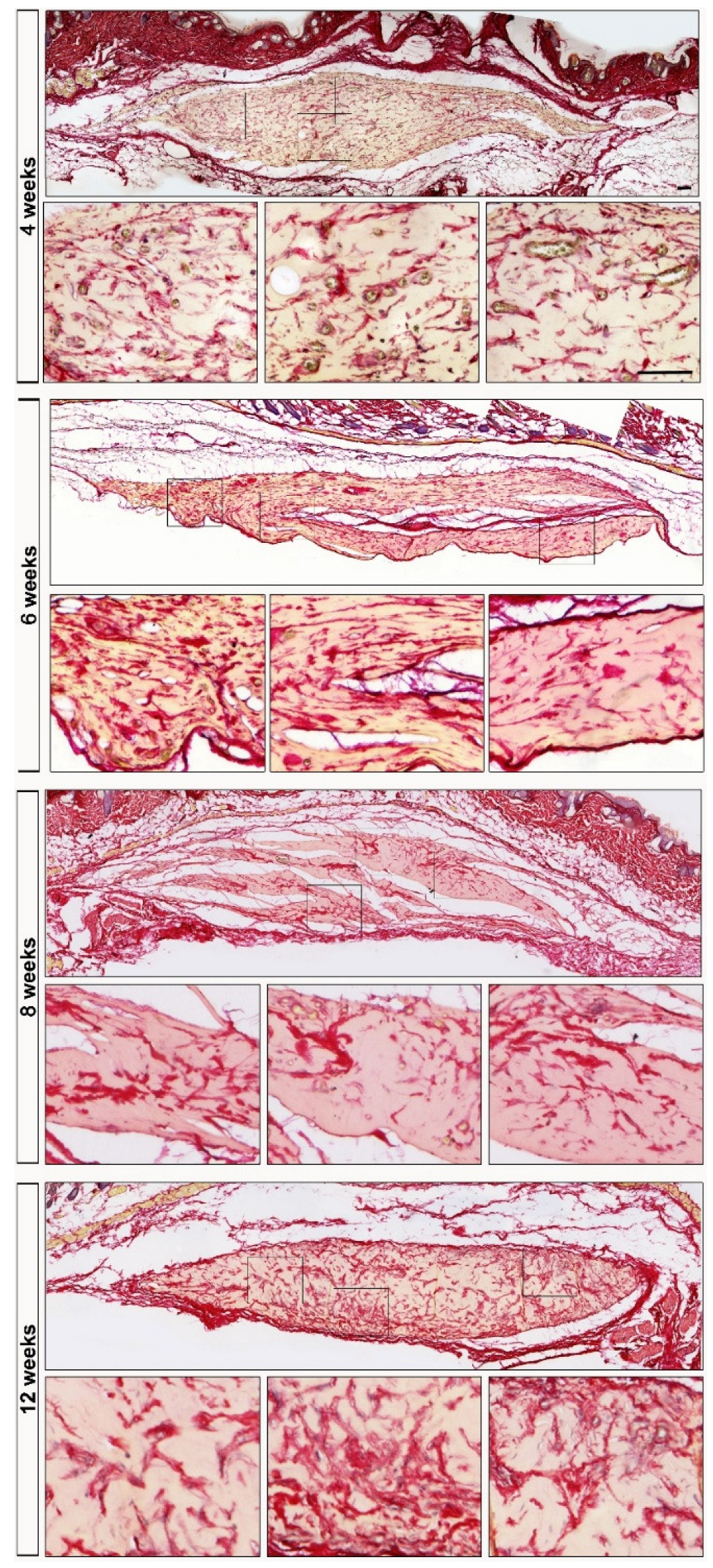 Preprints 210634 g002