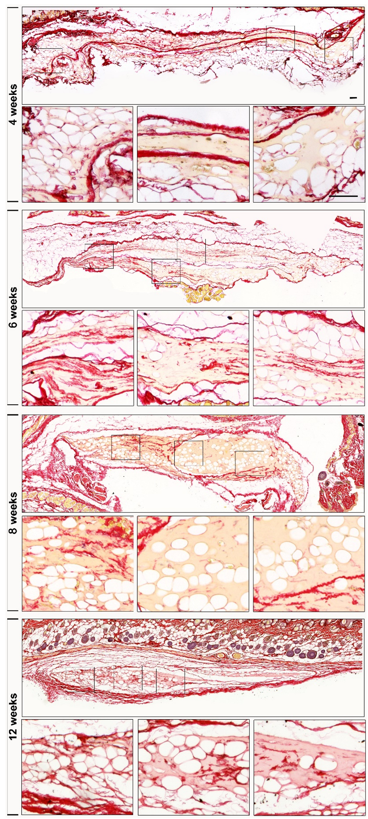 Preprints 210634 g003