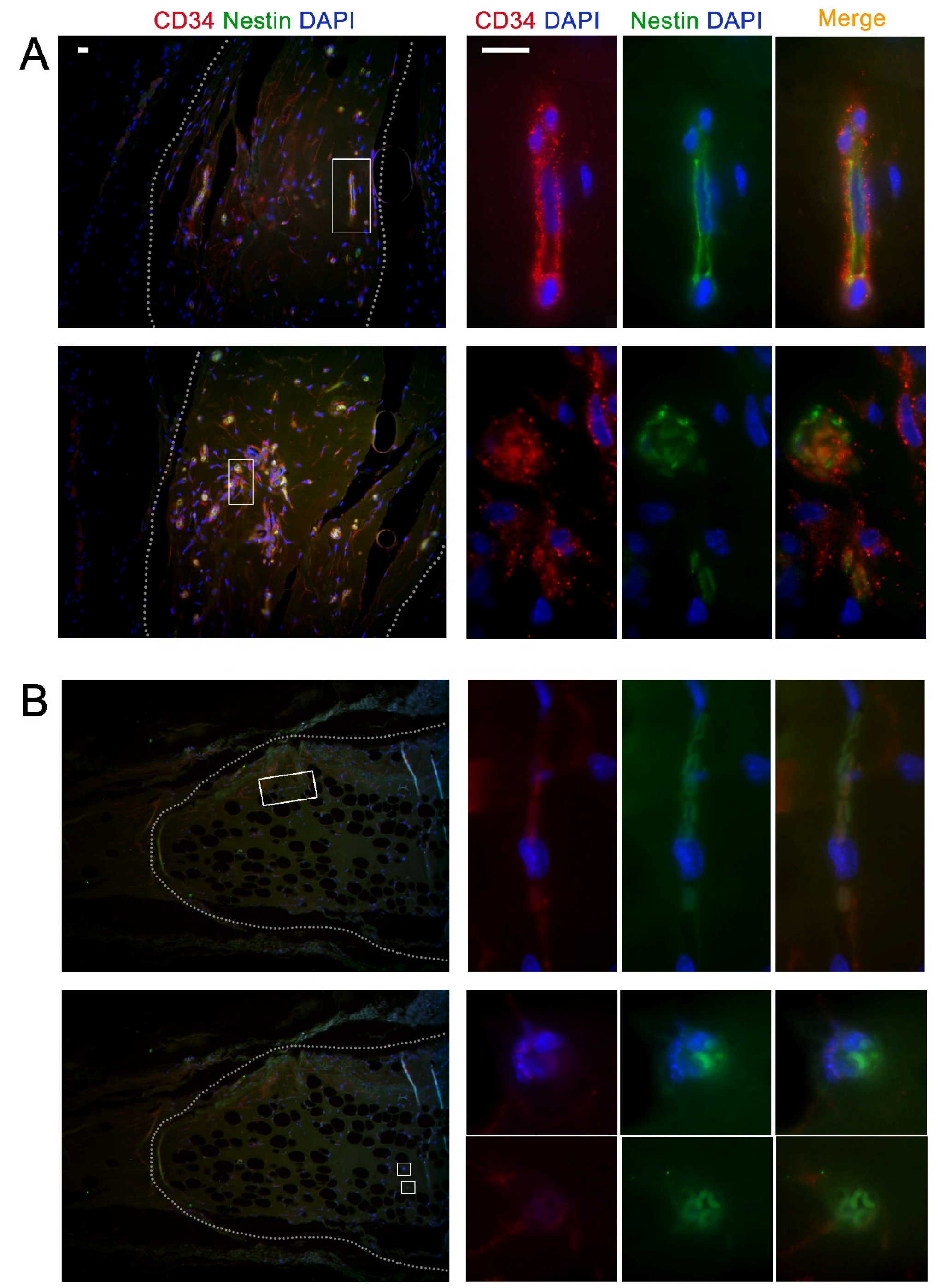 Preprints 210634 g004