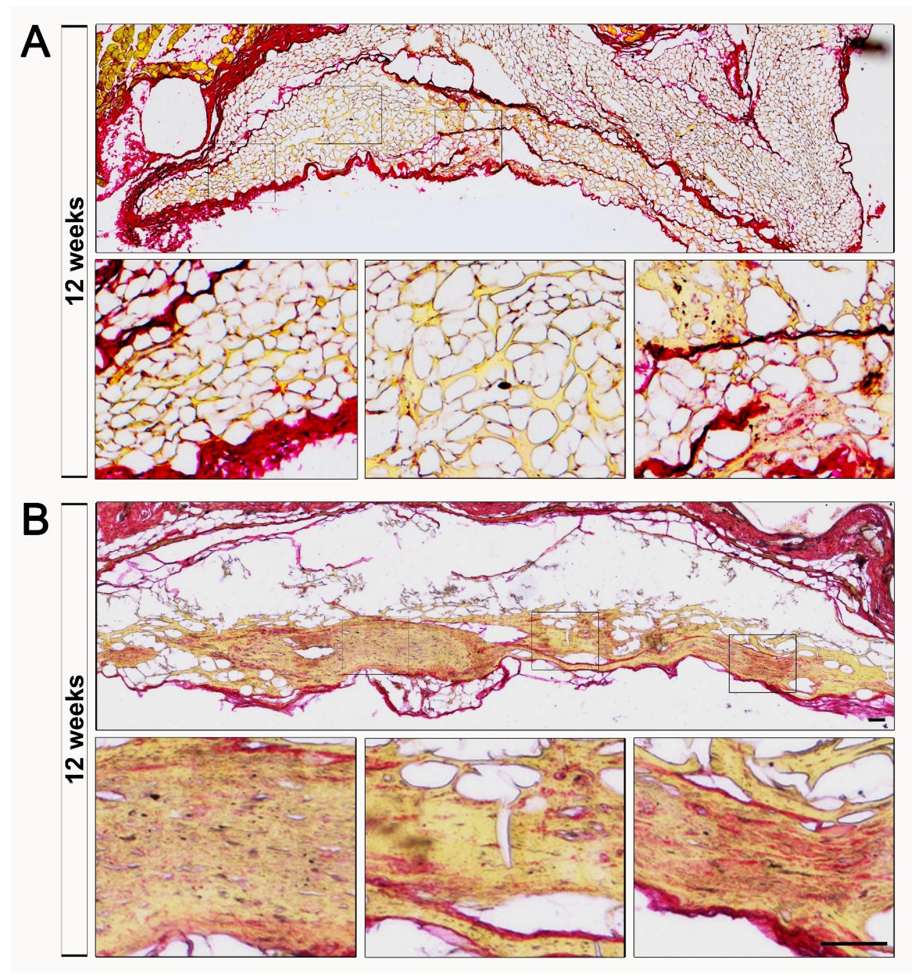 Preprints 210634 g006
