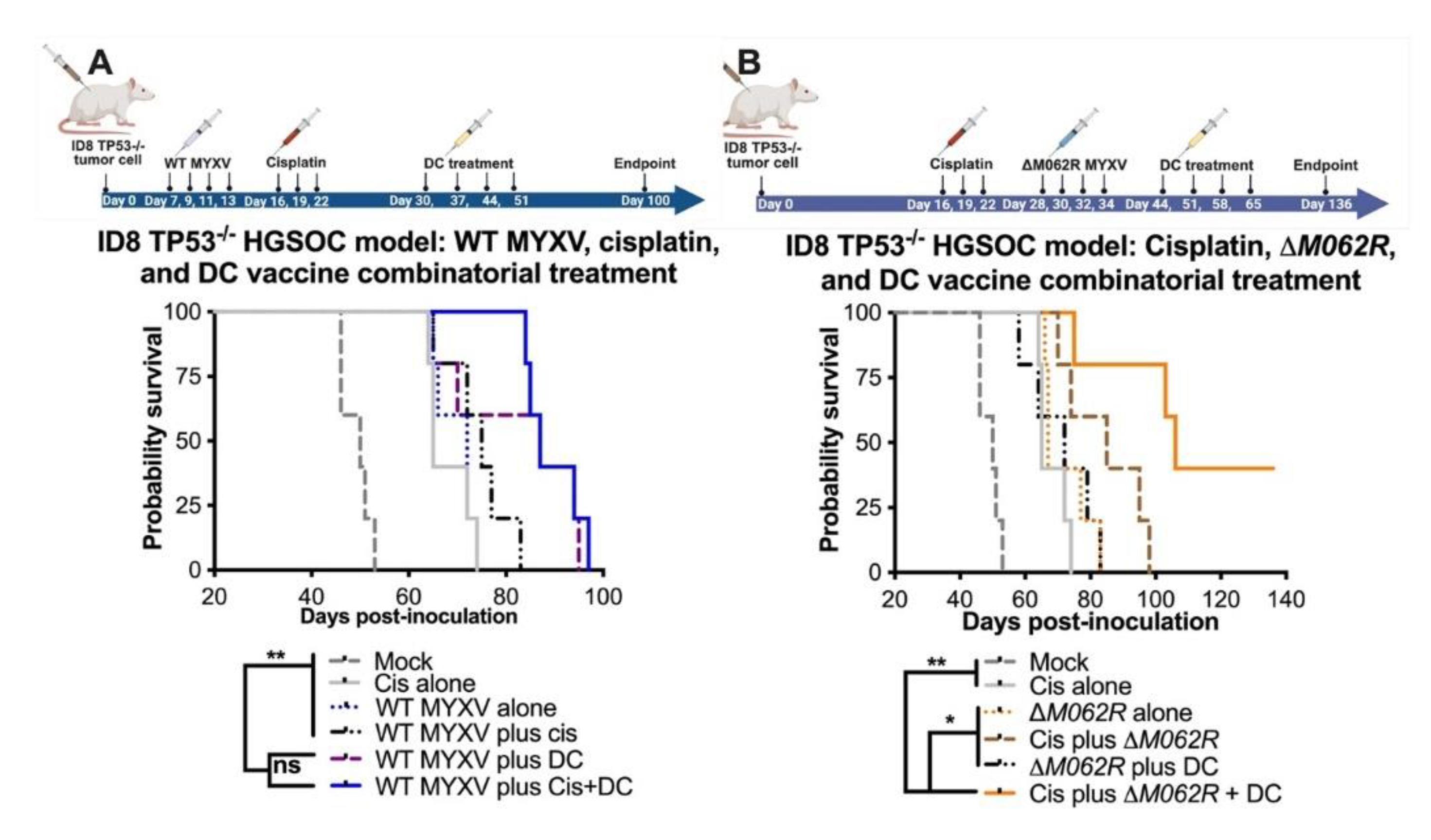 Preprints 161755 g003