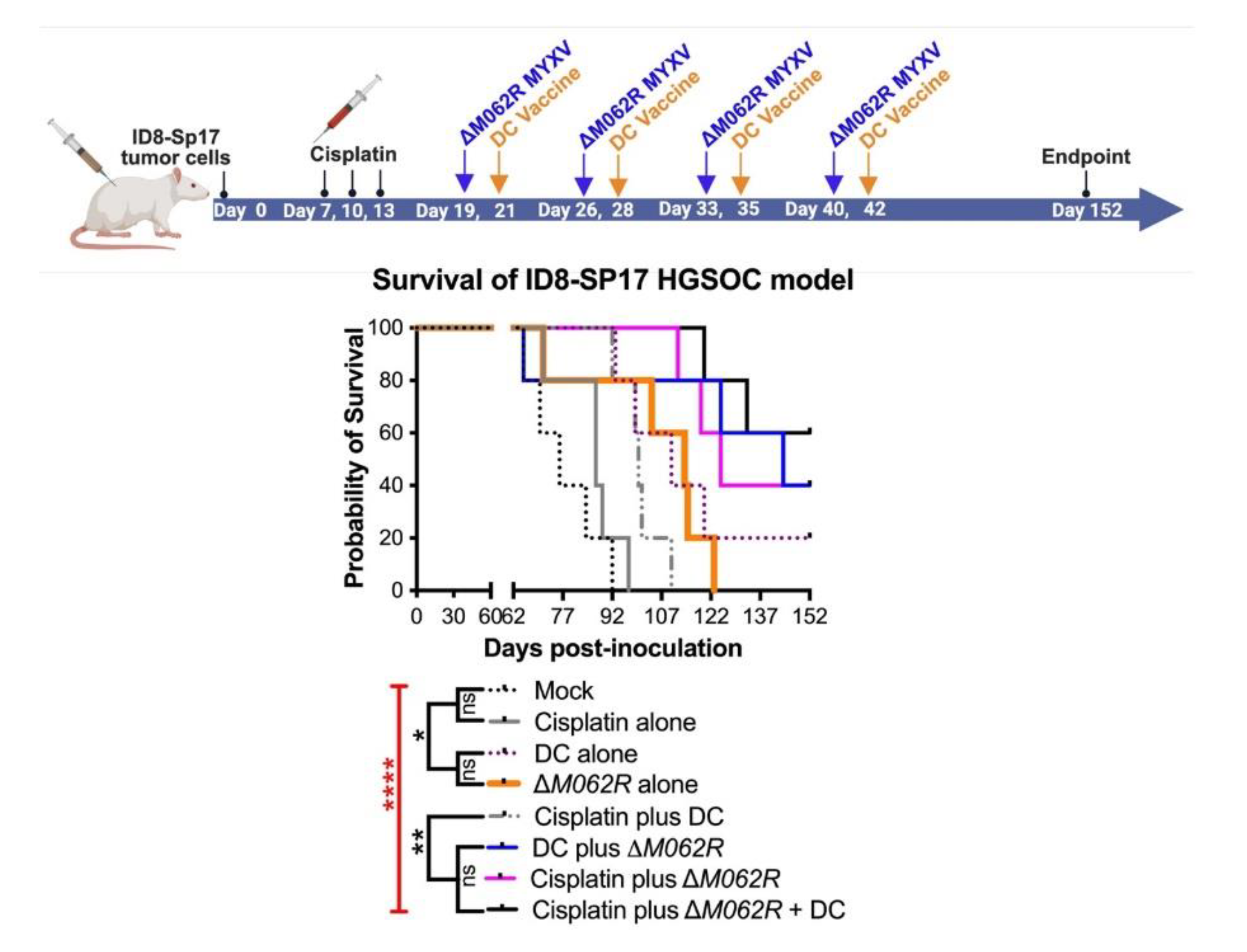 Preprints 161755 g005