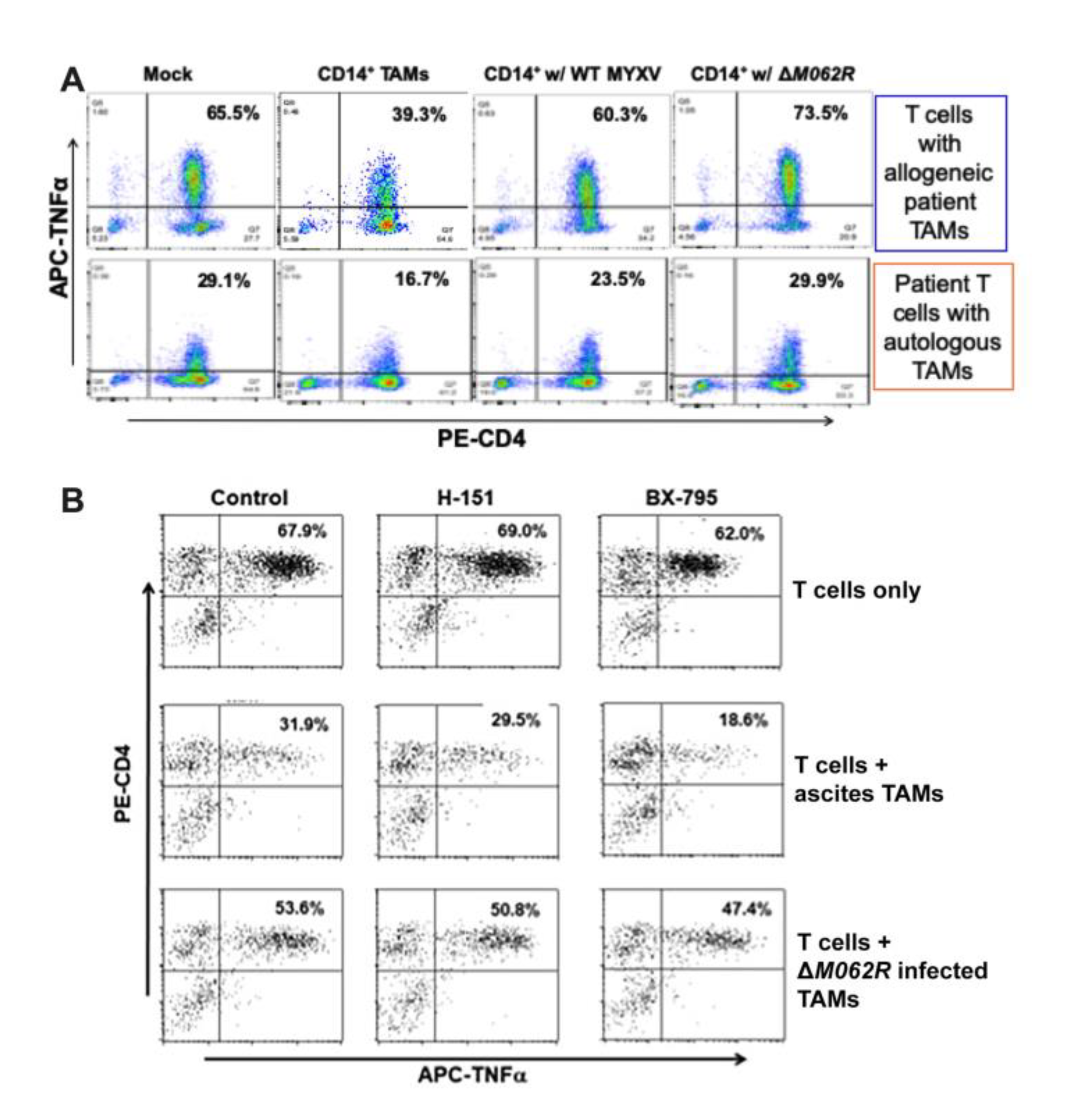 Preprints 161755 g006