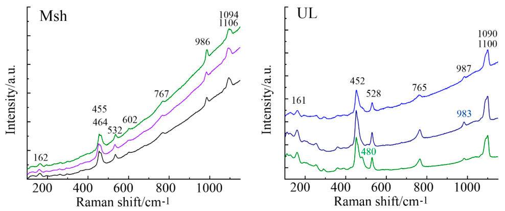 Preprints 238103 g010 Preprints 238103 g010