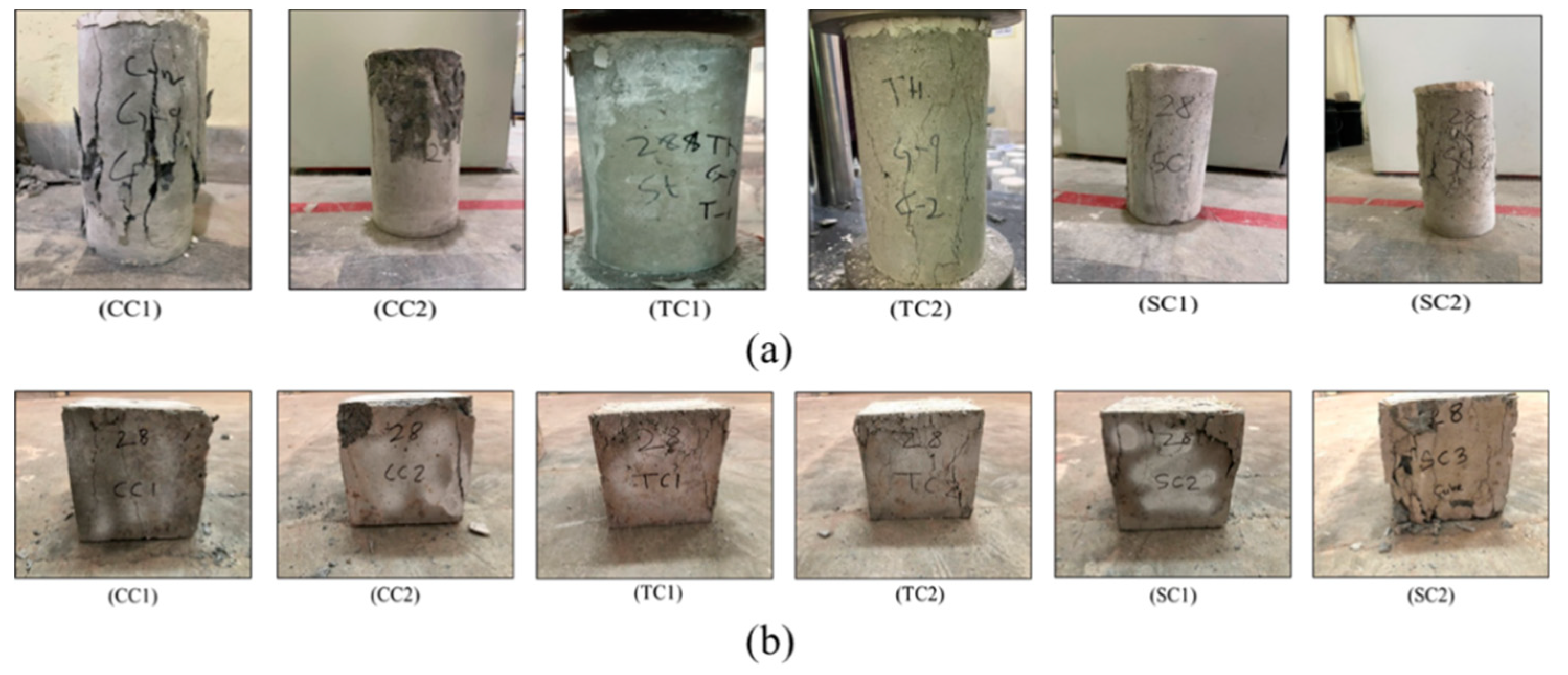 Preprints 89680 g005