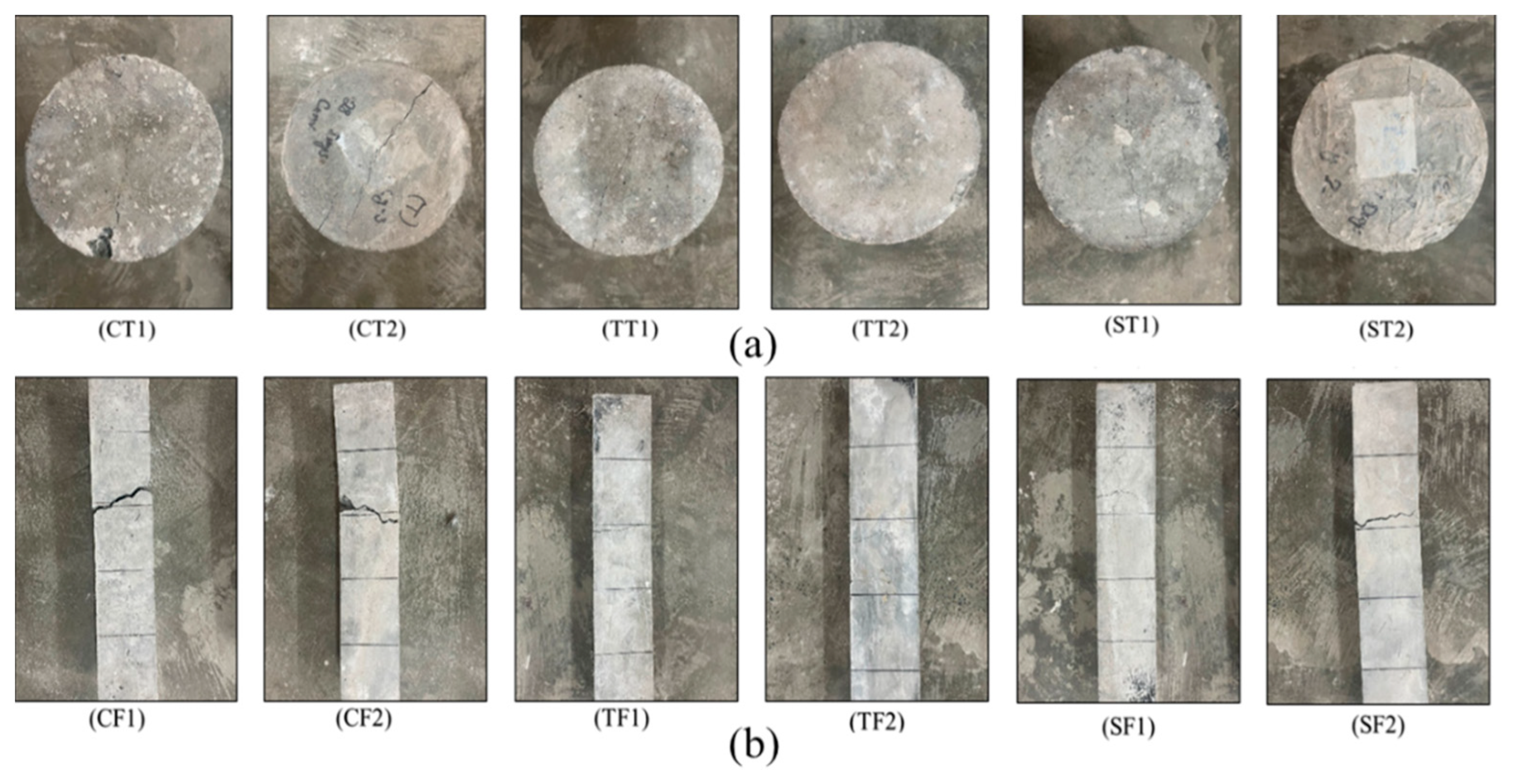 Preprints 89680 g008