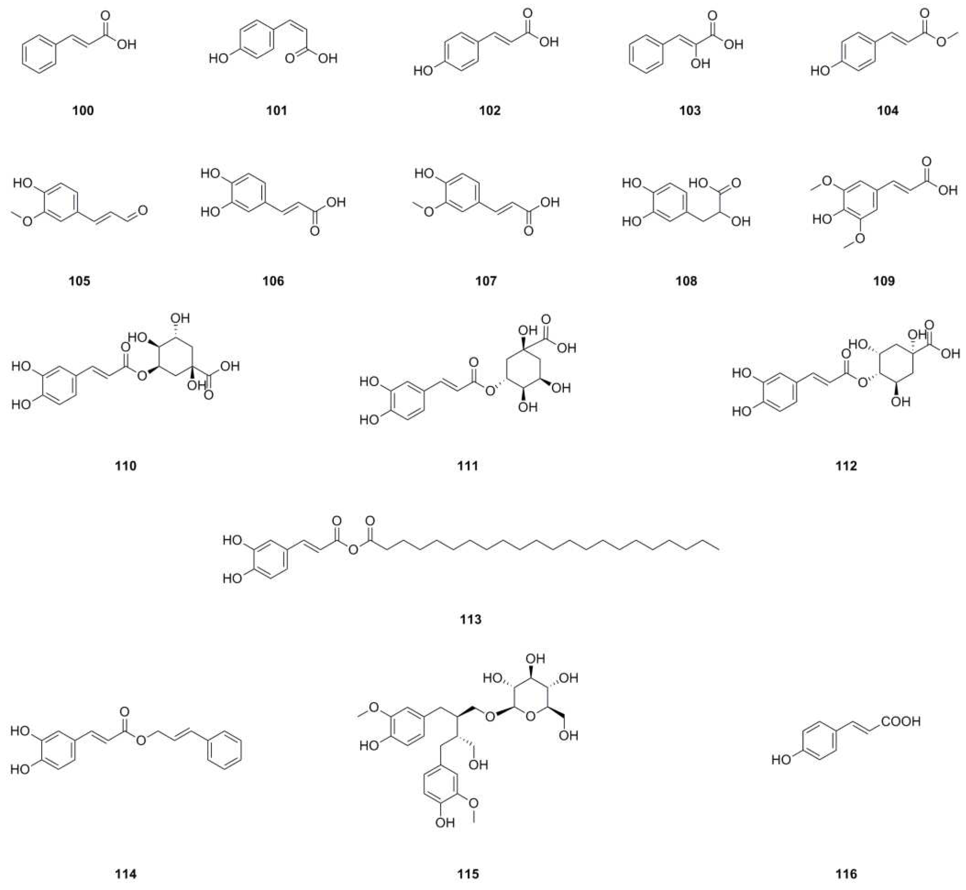 Ethnomedicinal Uses, Geographical Distribution, Botanical