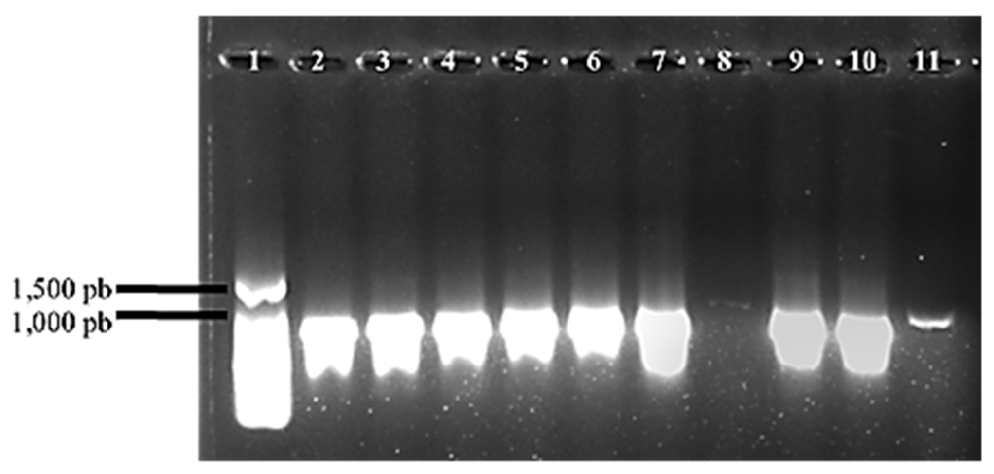 Preprints 139225 g002