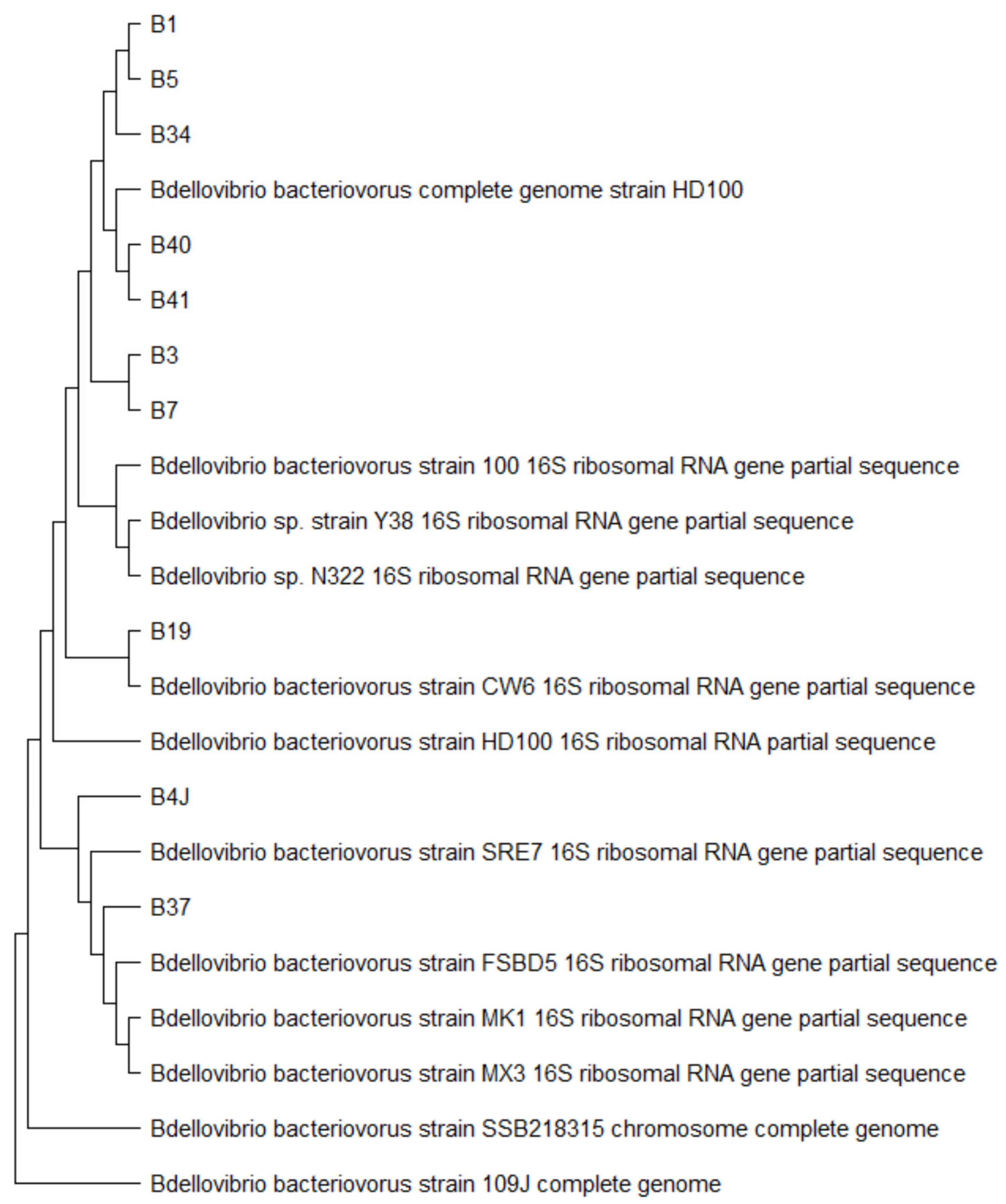 Preprints 139225 g003