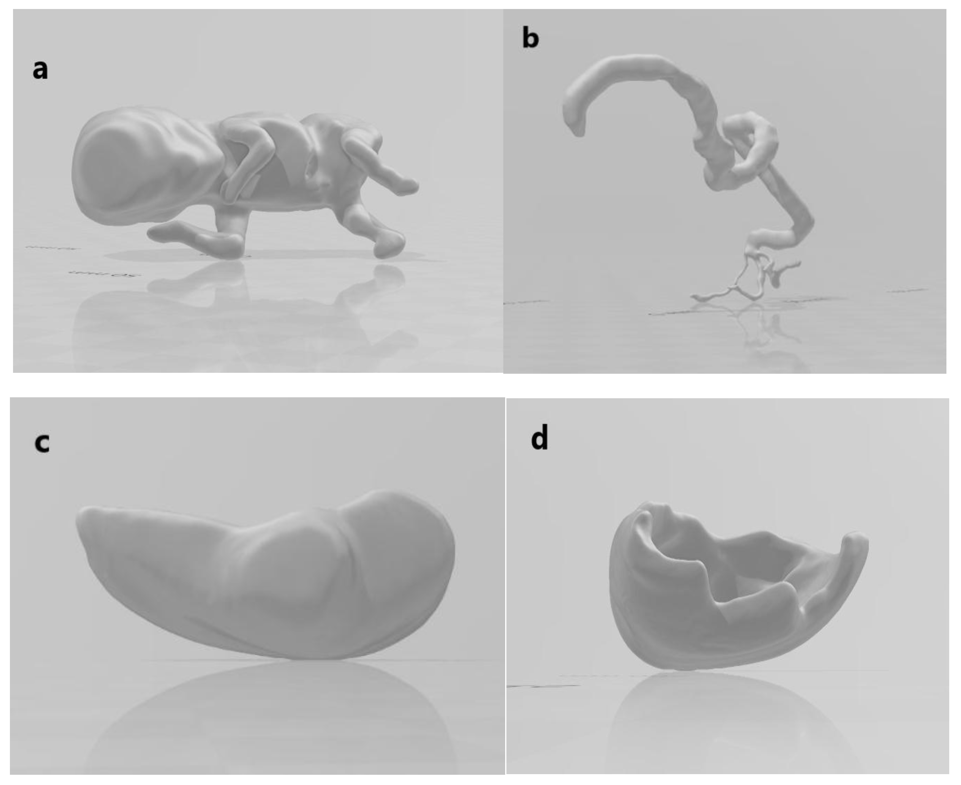 Preprints 164908 g003