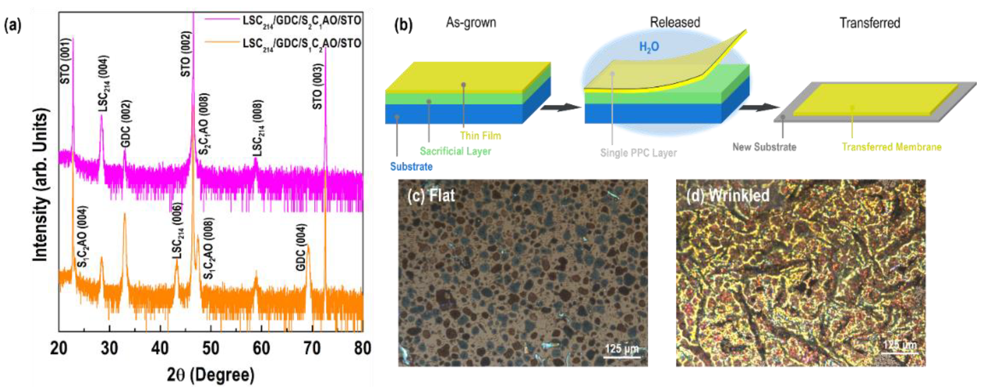 Preprints 189559 g002