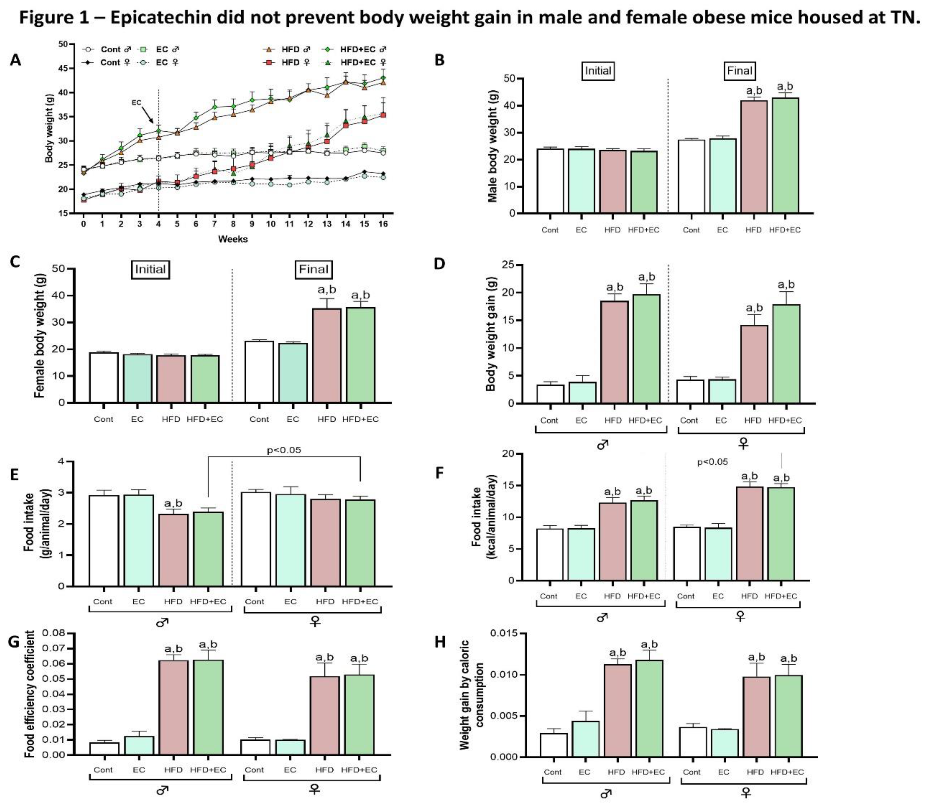 Preprints 138674 g001