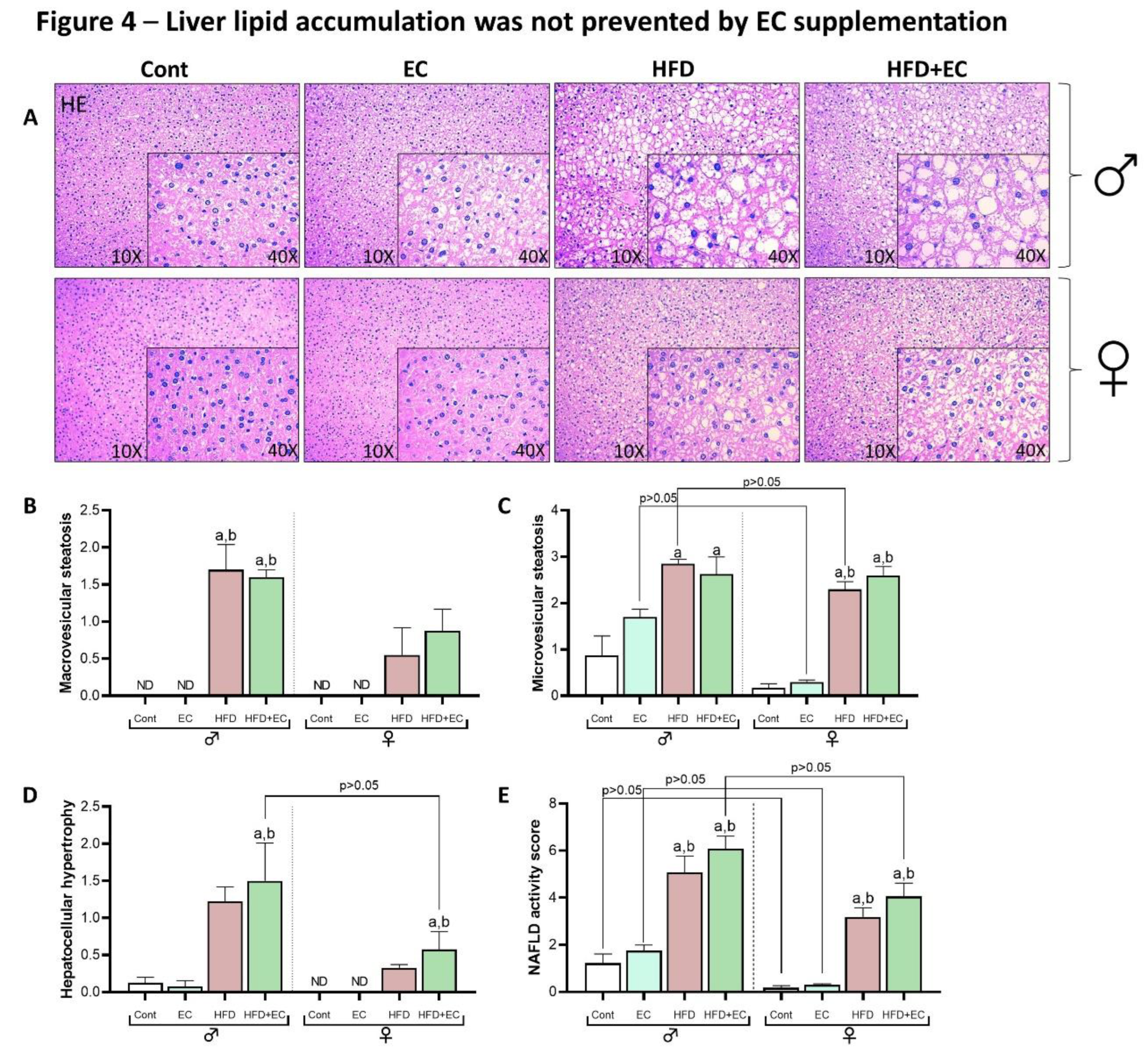 Preprints 138674 g004