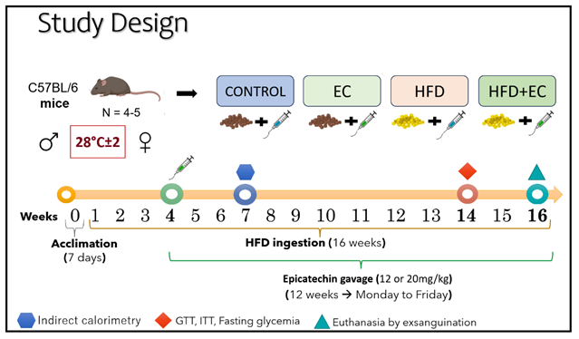 Preprints 138674 i002