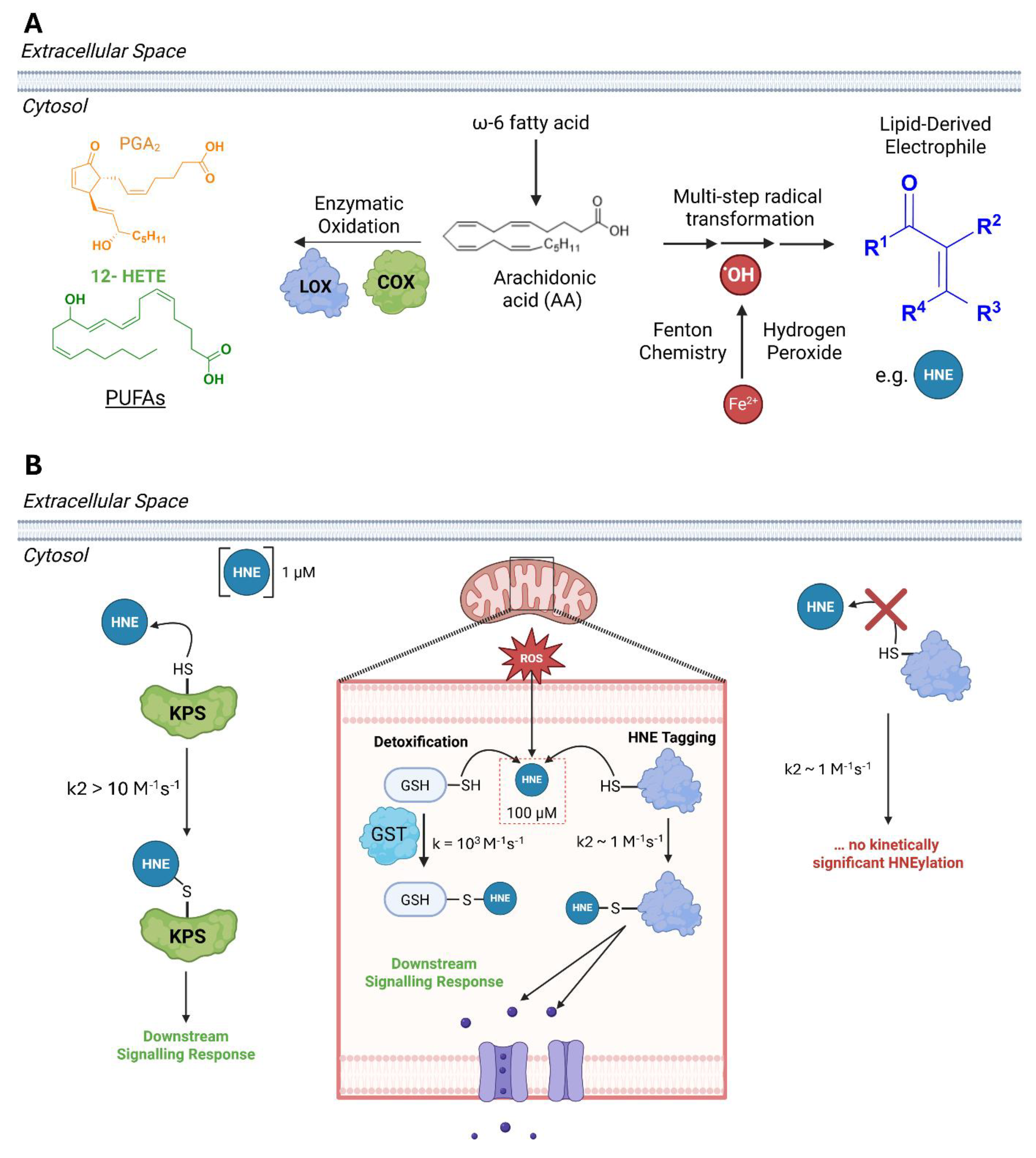 Preprints 209435 g001