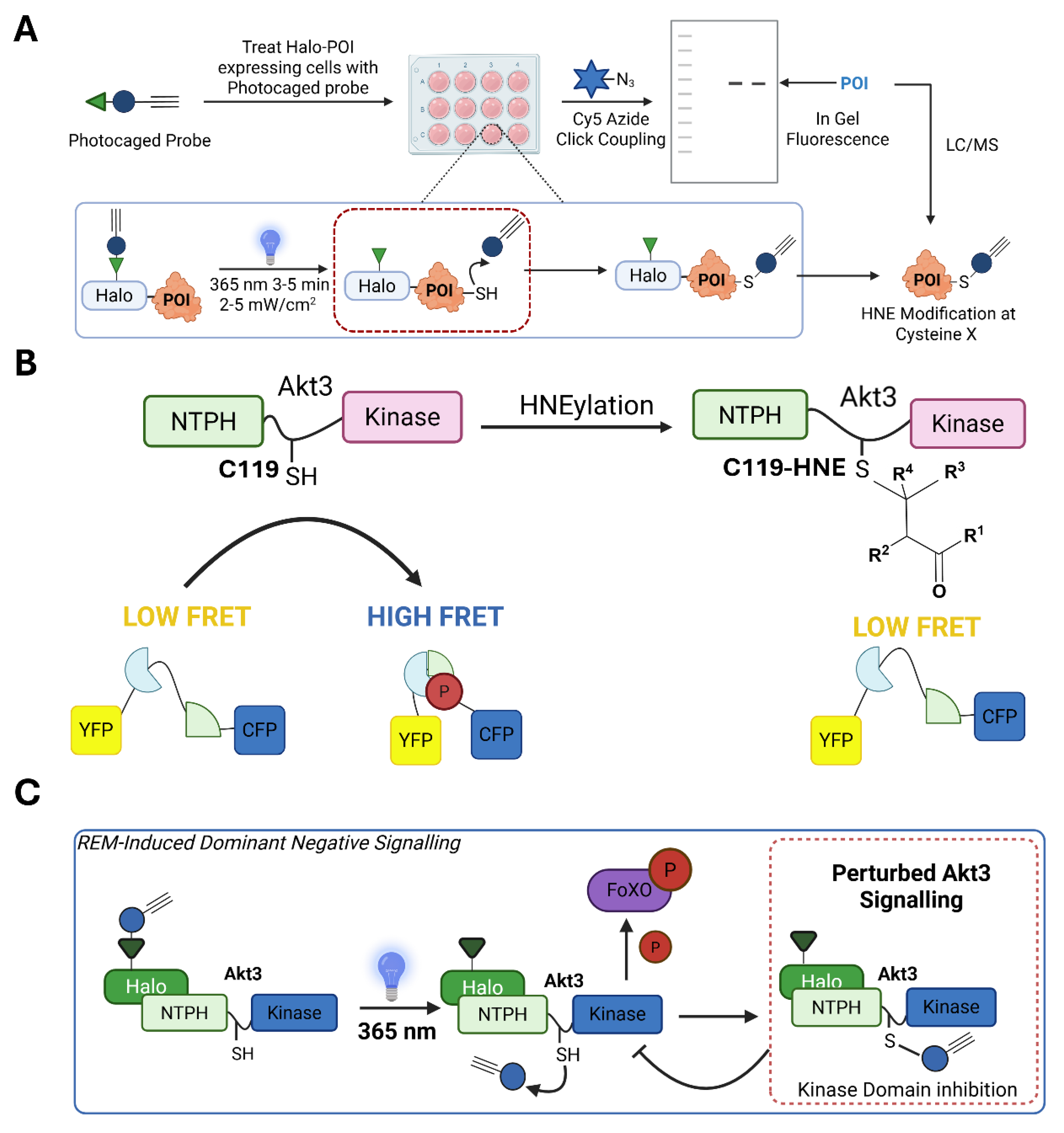 Preprints 209435 g002