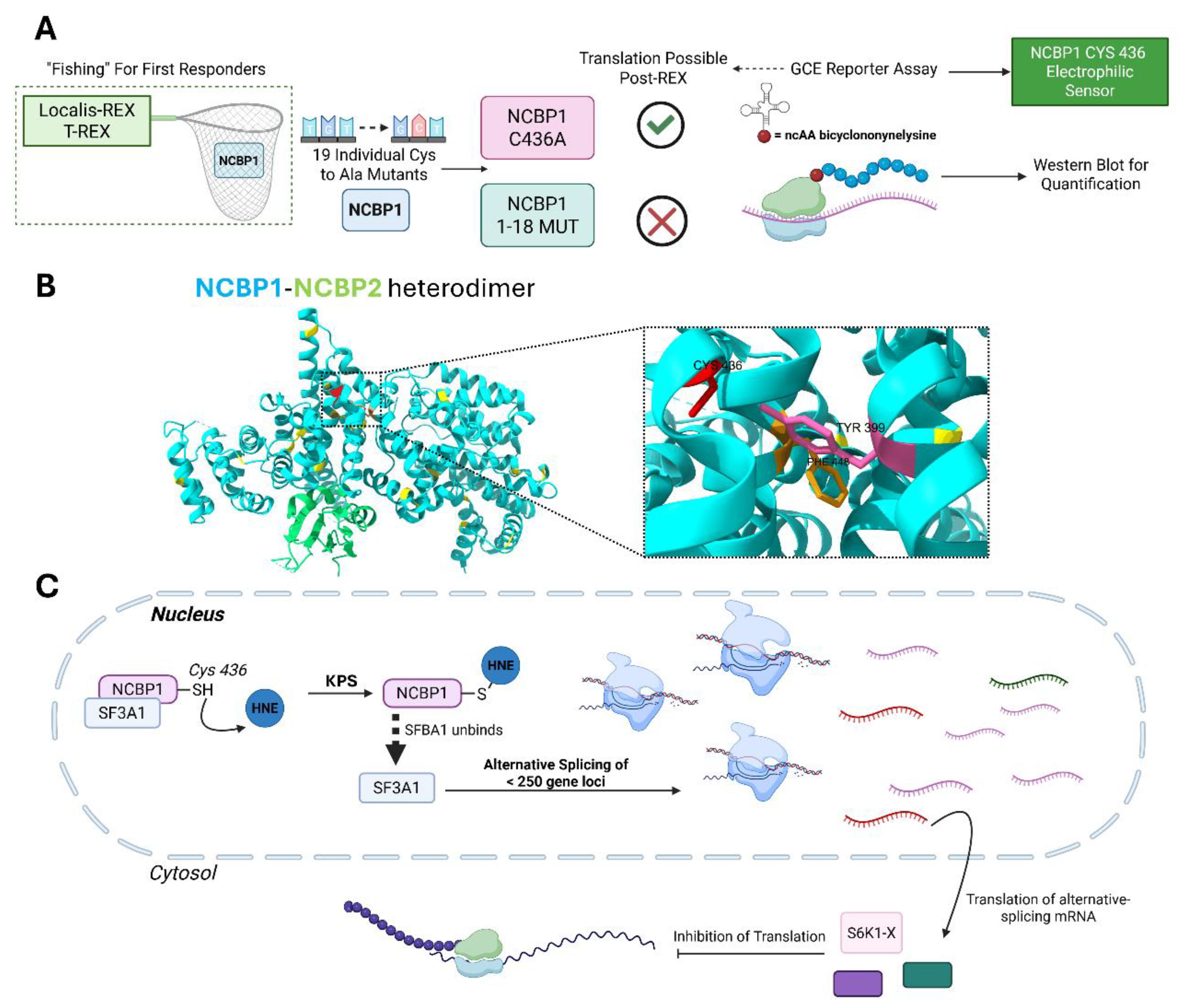 Preprints 209435 g003