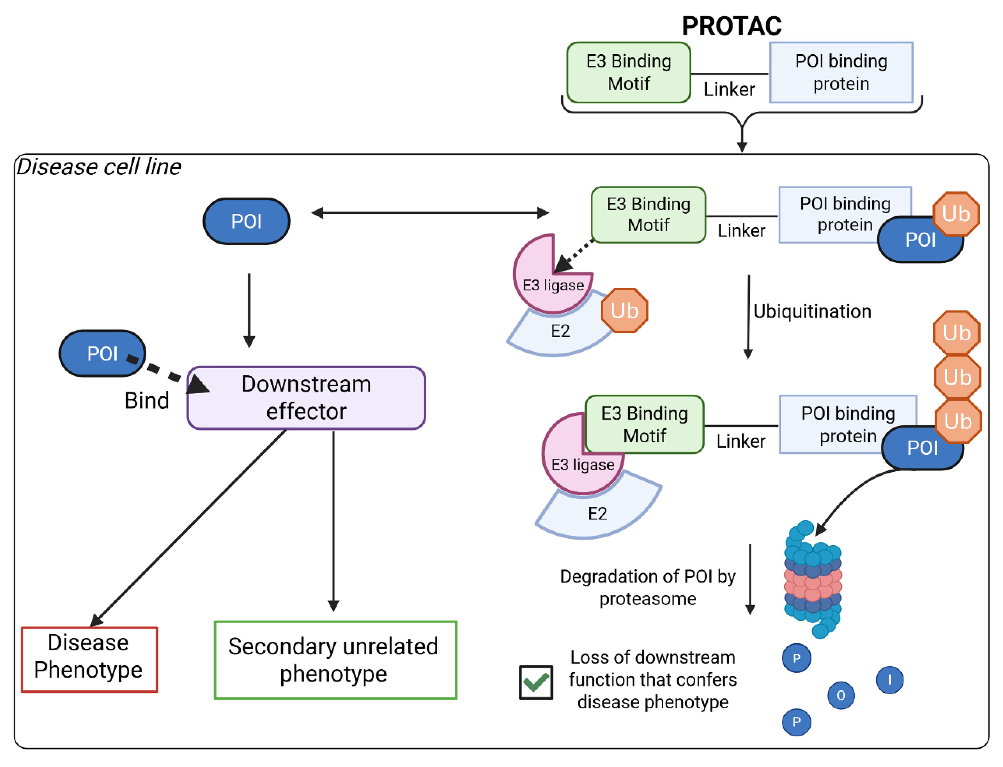 Preprints 209435 g004