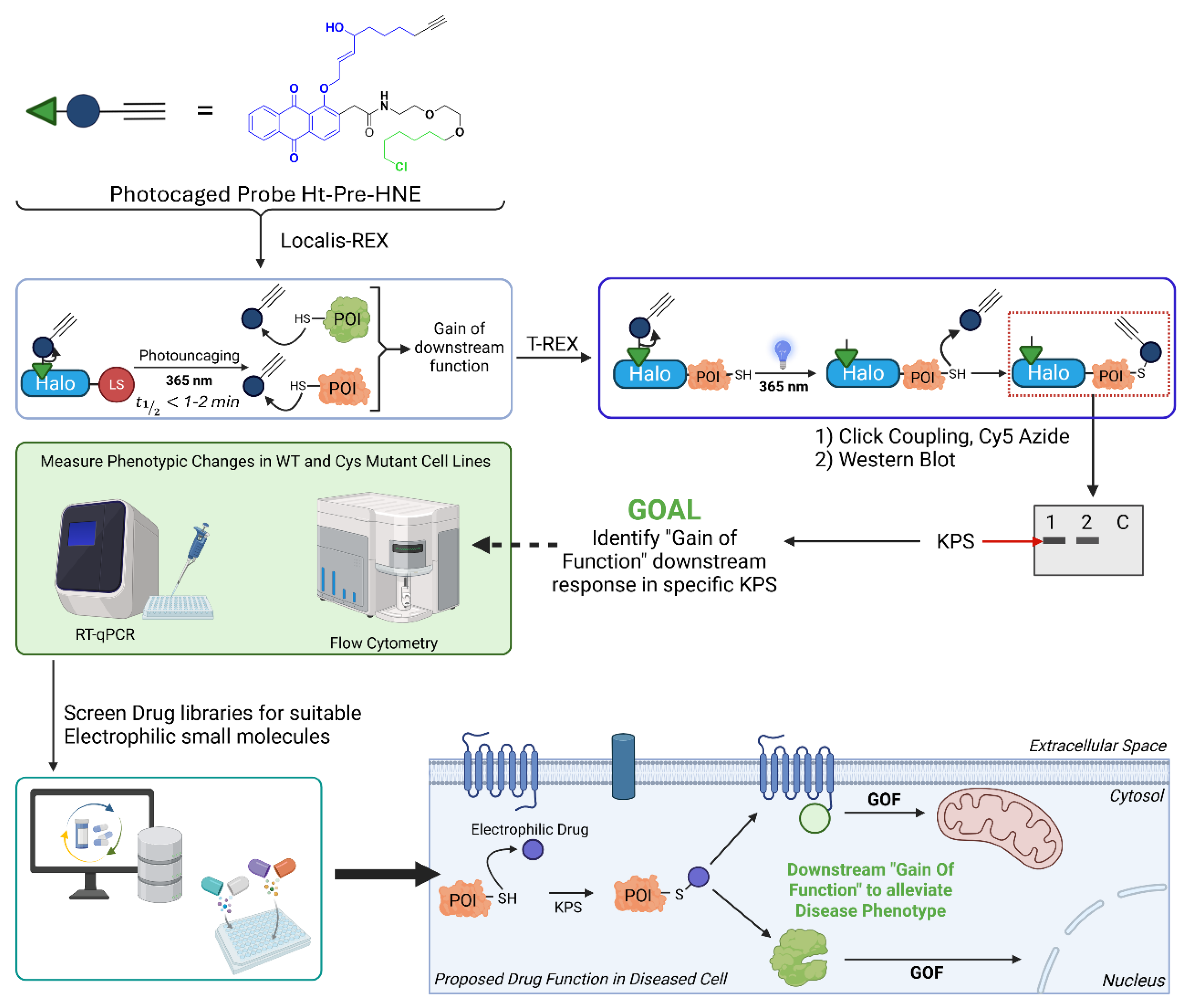 Preprints 209435 g005
