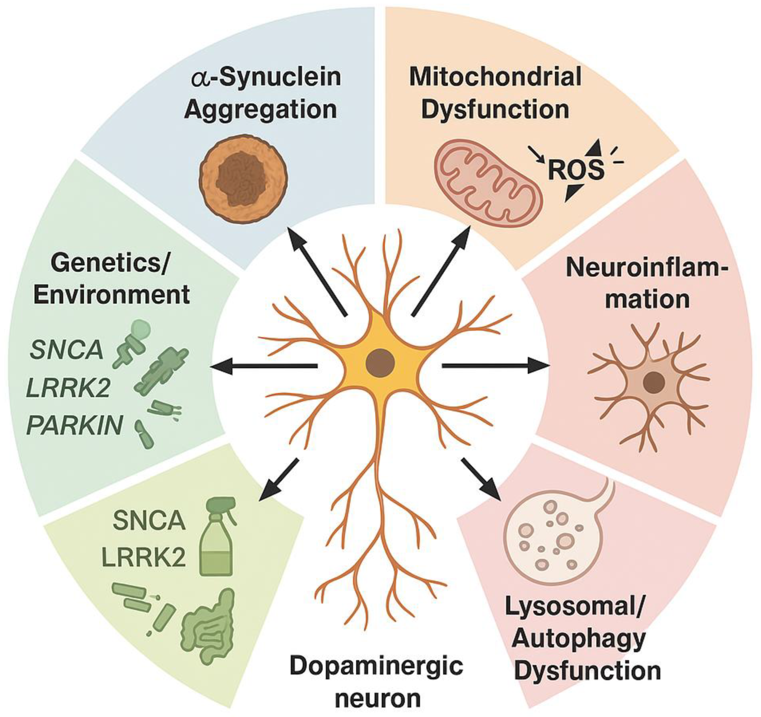 Preprints 168568 g002