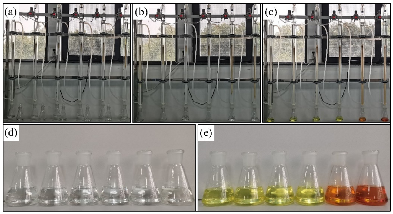 Preprints 225791 g003