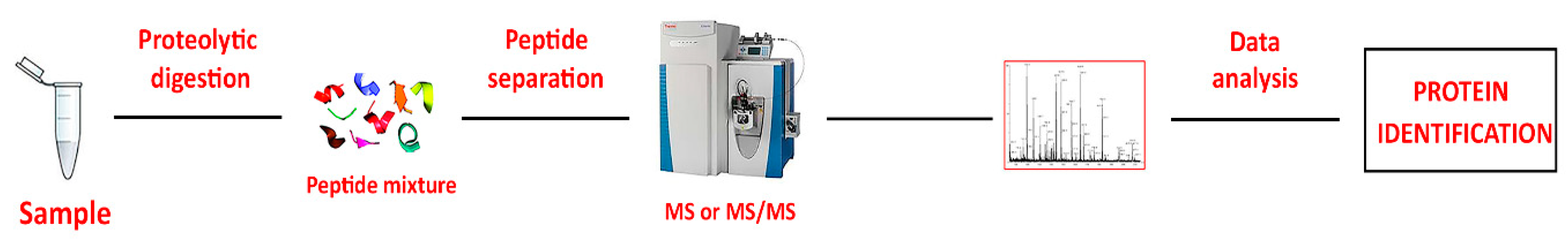Preprints 156977 g002