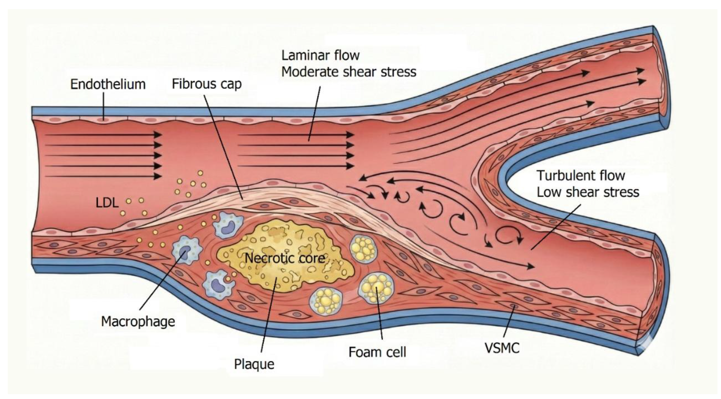 Preprints 195130 g001