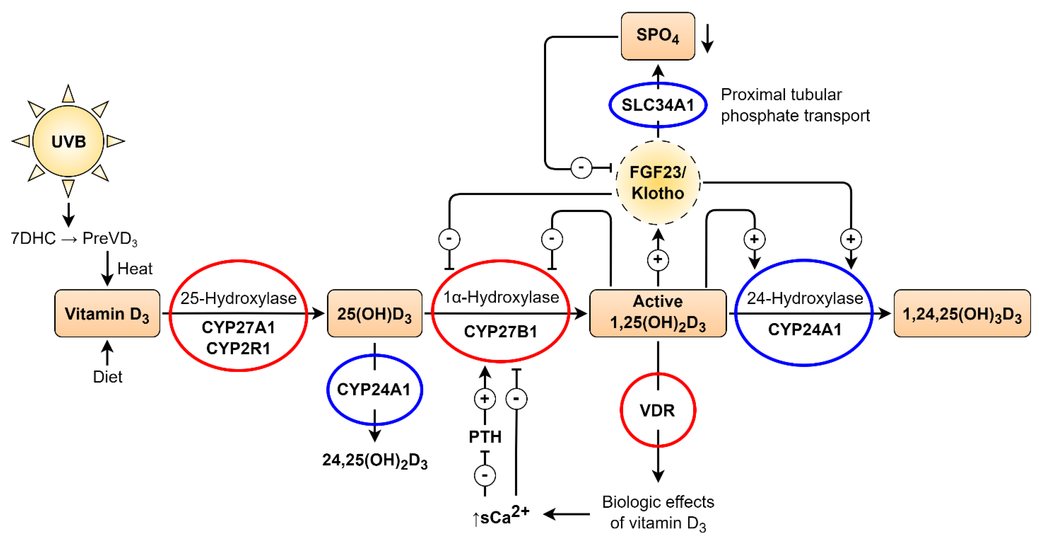 Preprints 195130 g002