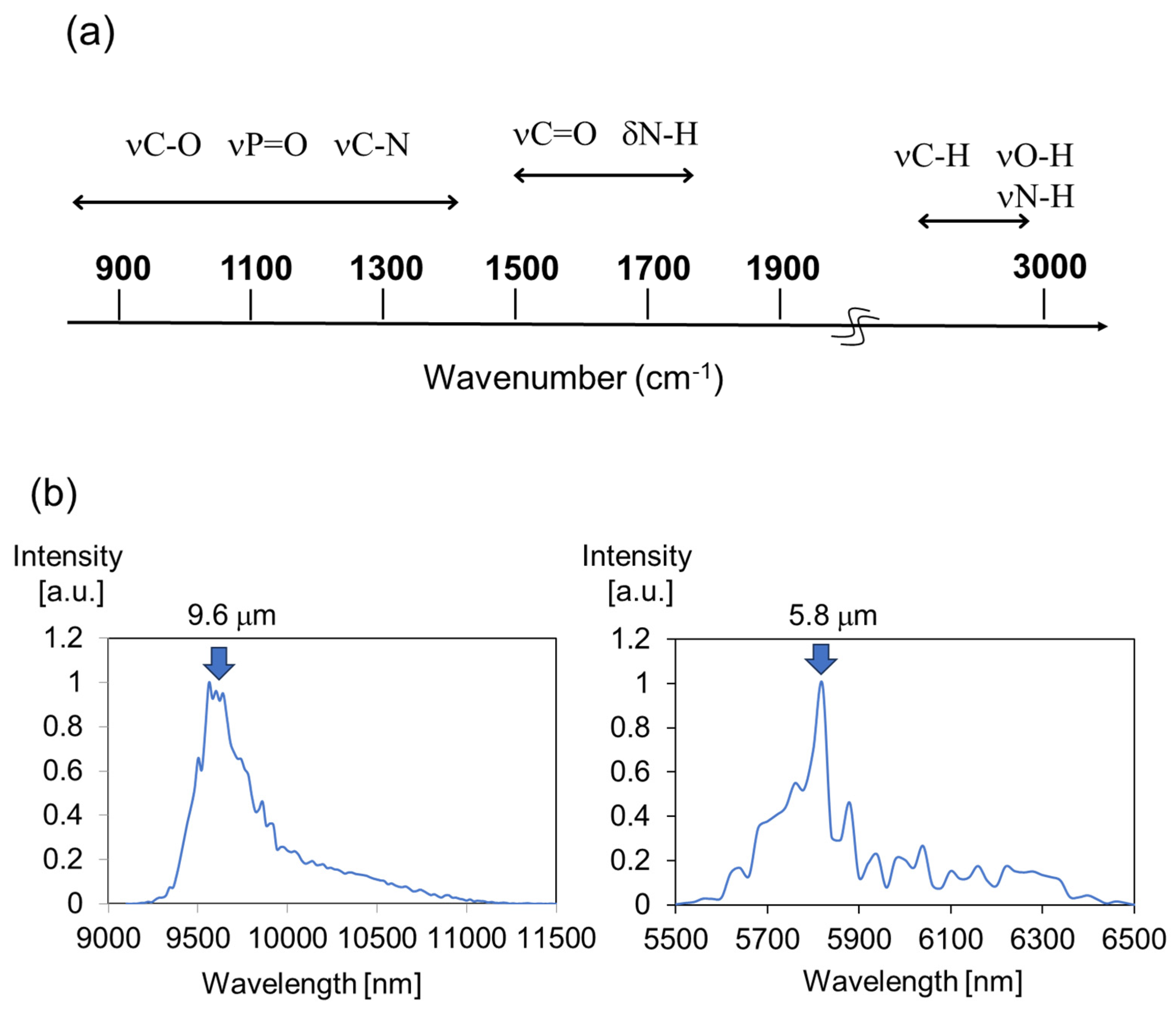 Preprints 168312 g003